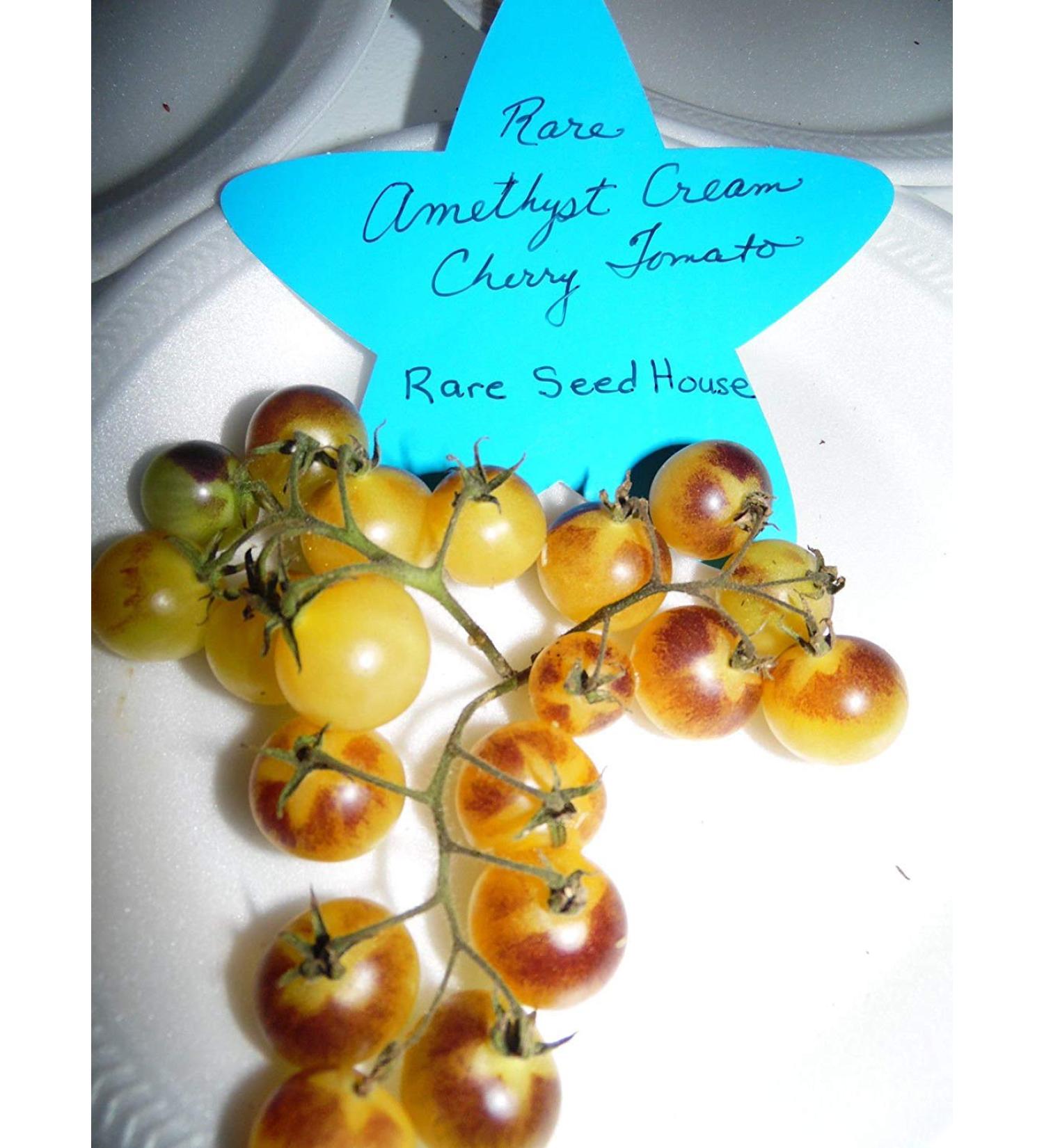 Pacchetto semi: 20 Sementi di Ametista Cherry pomodoro! Carichi di Sweet Tomatoes!