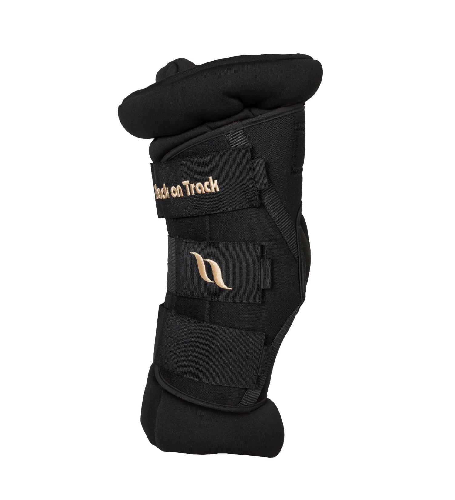Back on Track Royal Ankle Guard Deluxe - Black/Blue (L) | International Shipping Available - Buy Online on GoSupps.com
