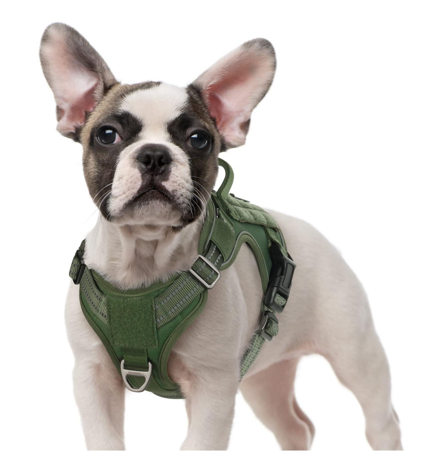 Rabbitgoo Adjustable Dog Harness for Small Dogs - Wear-Resistant Tactical Design with Metal Buckles & Handles - Perfect for Hiking - Green (1 Pack) - Buy Online on GoSupps.com