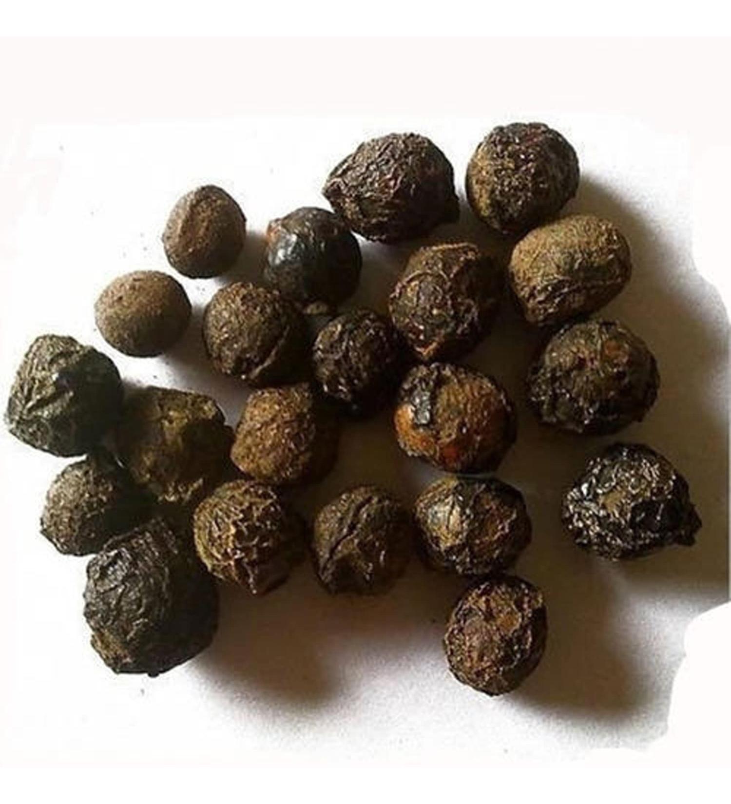 RAW HERBS SUGANDH KOKILA LAUREL BERRY CINNAMOMUM CECIDODAPHNE (50GM) - Buy Online on GoSupps.com