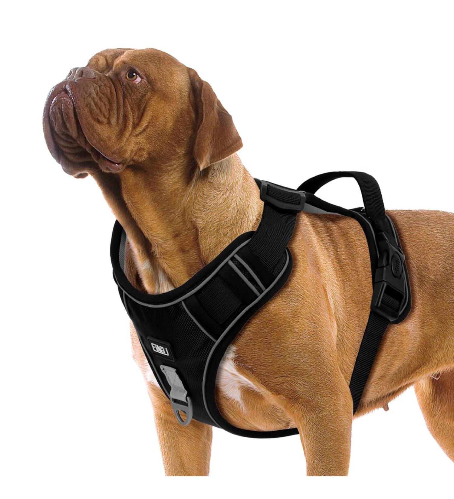 Etaccu Adjustable No-Pull Dog Harness with Handle - Breathable & Padded Safety Harness for Medium Dogs - Reflective Black - Buy Online on GoSupps.com