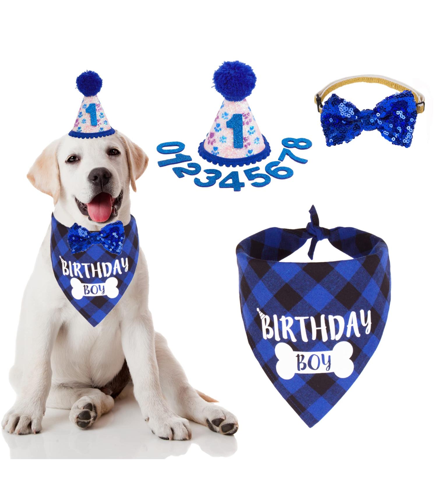 ADOGGYGO Birthday Party Supplies: Boy Dog Hat, Plaid Bandana, Bow Set - Buy Online on GoSupps.com