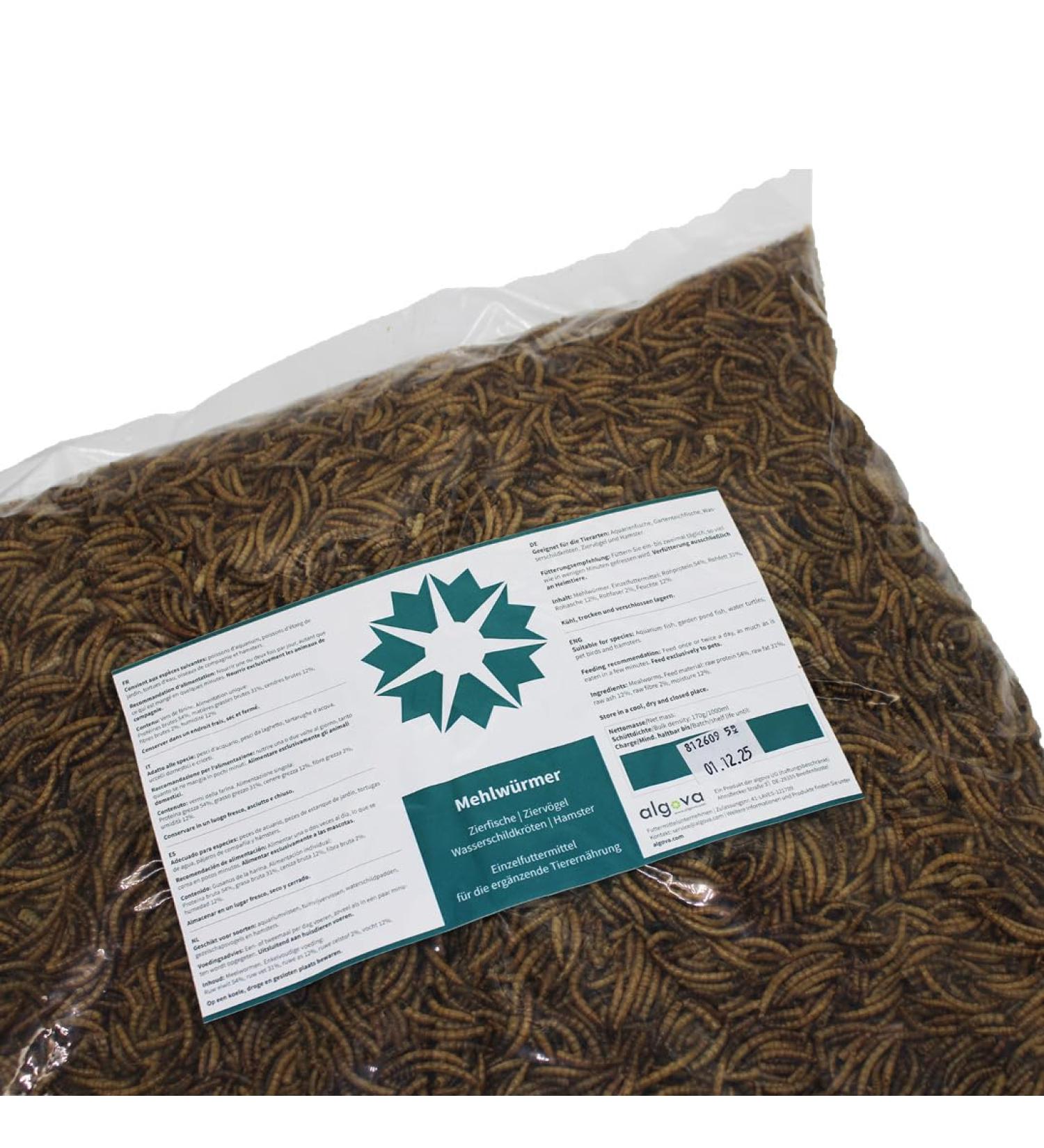 Dried Mealworms for Fish Birds Turtles & Hedgehogs - 10kg Natural Insect Food | International Shipping - Buy Online on GoSupps.com