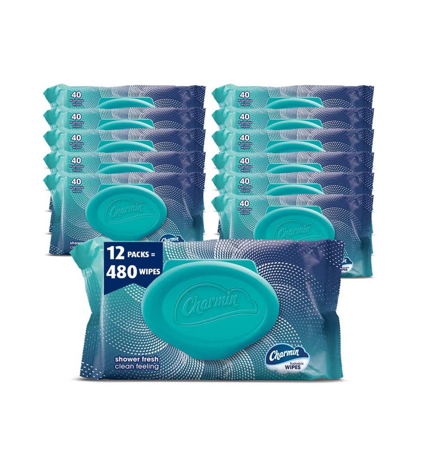 Charmin Flushable Wipes - 480 Total Wipes, 12 Packs of 40, Packaging May Vary - Buy Online on GoSupps.com