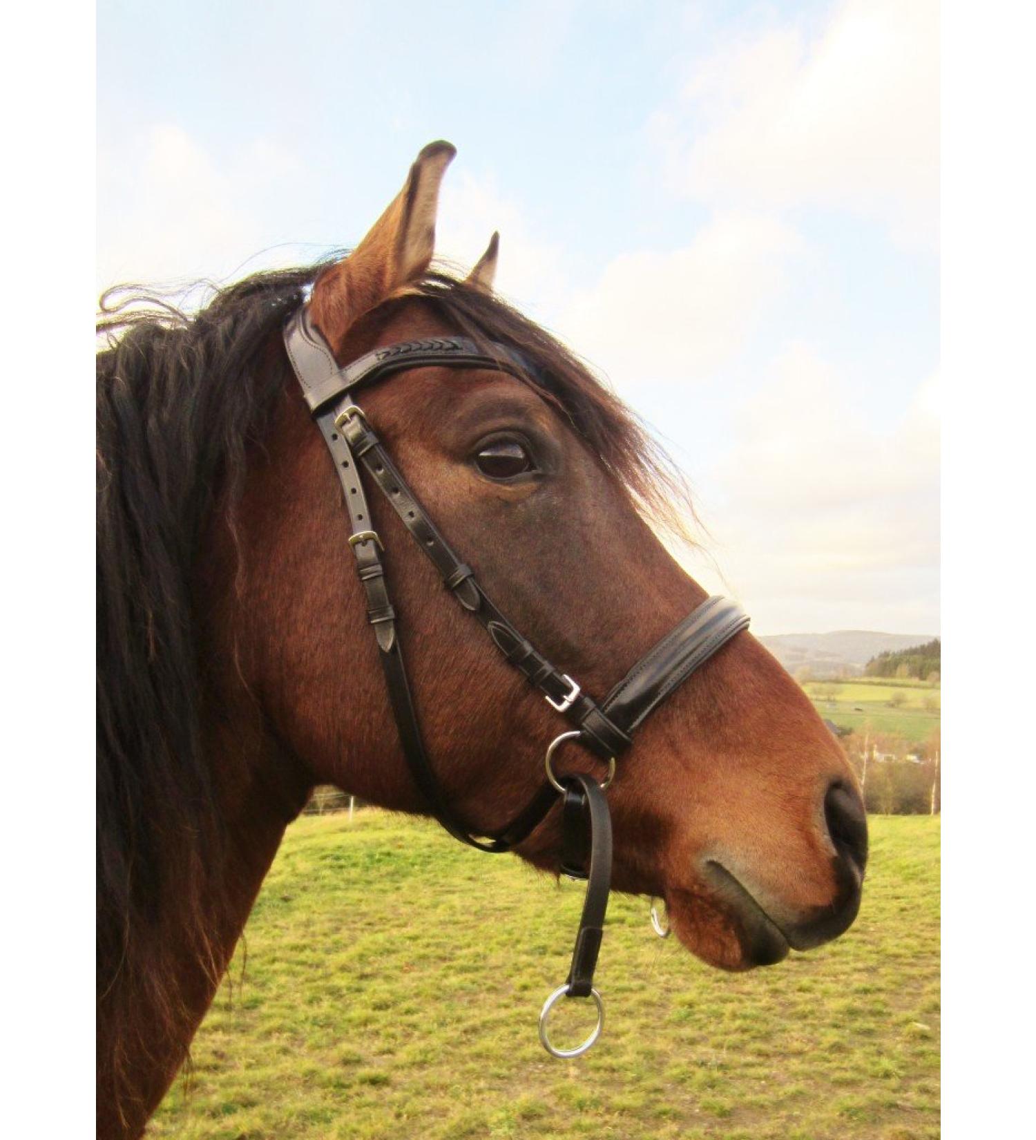PS Horse Articles Soft Bitless Bridle - Anatomical Tilia Pony Bridle in Black | Shop Internationally! - Buy Online on GoSupps.com