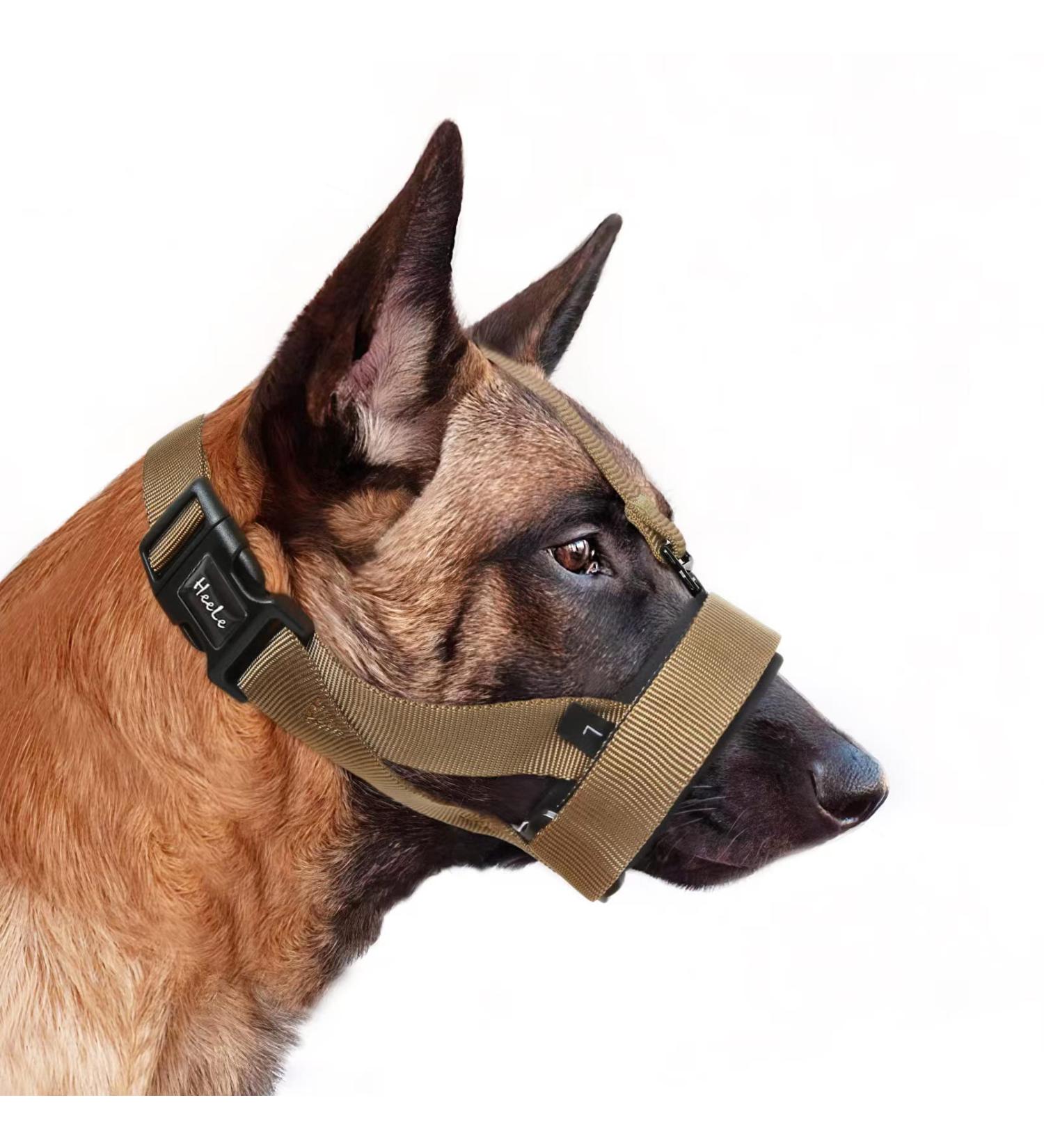 Heele Dog Muzzle with Head Belt - Comfortable Mucky Basket for Safe International Shipping - Buy Online on GoSupps.com