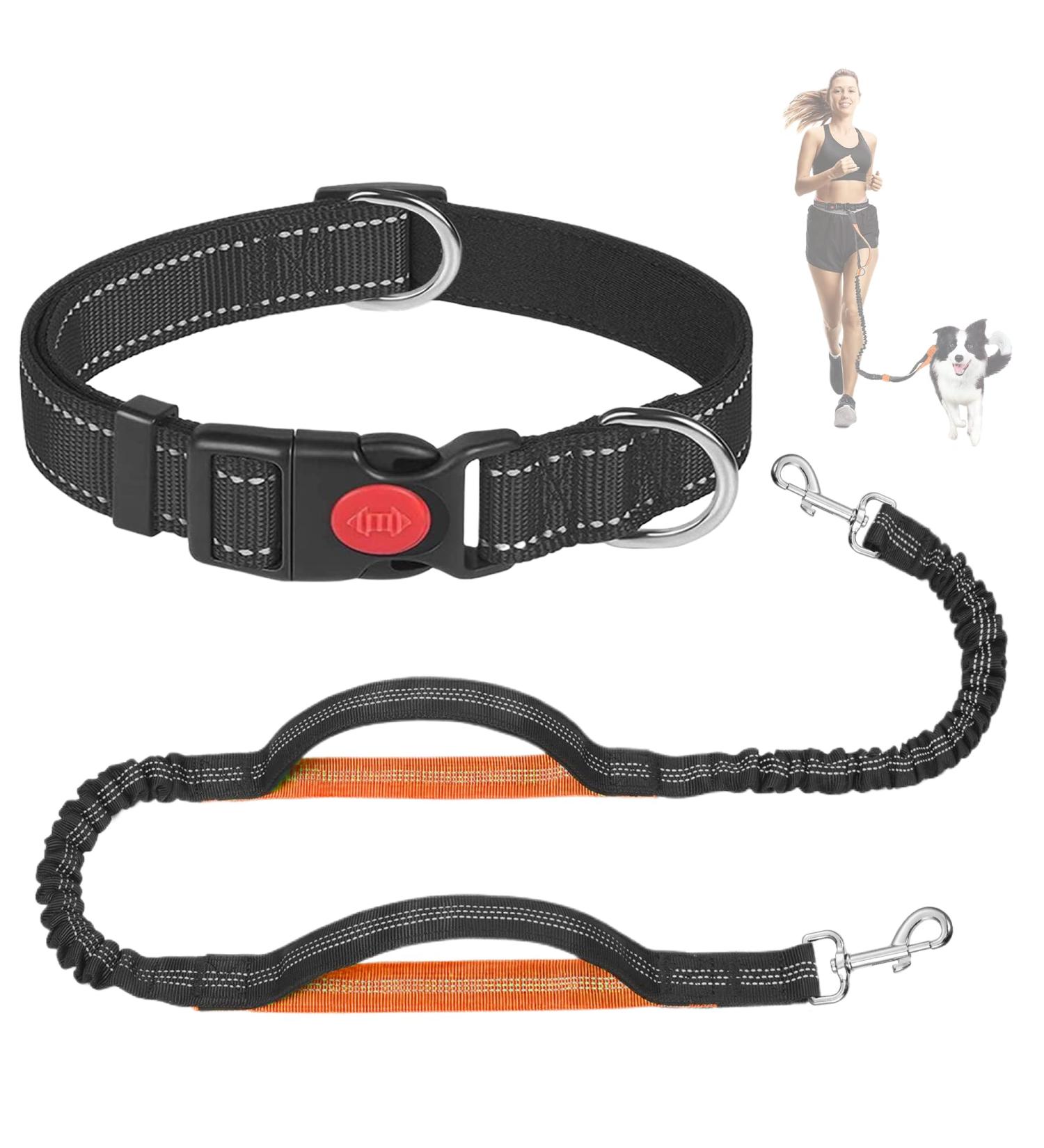 Ultimate Jogging Leash for Large & Medium Dogs | Pile Belt & Double Handle | Retractable Waist Belt - Orange - Buy Online on GoSupps.com