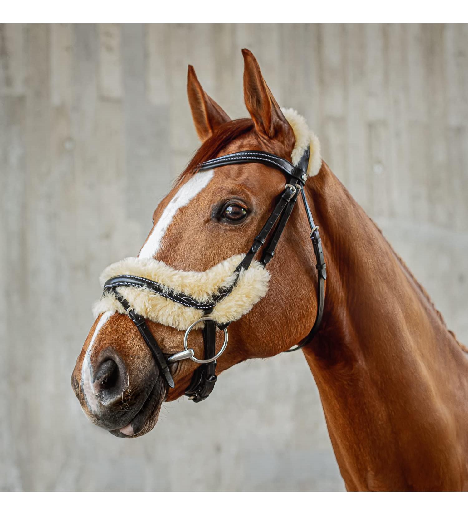 SUNRIDE Swedish Bridle Oxford with Reins - Soft Genuine Leather & Fur Adjustable Anatomical Design (Cob Black) - International Shipping Available - Buy Online on GoSupps.com