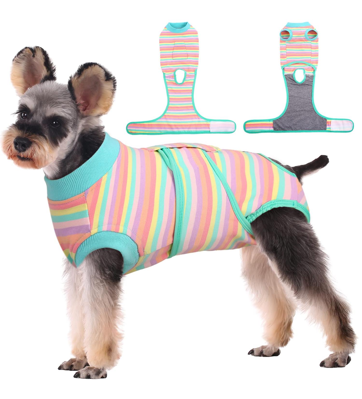 Kuoser Dog Body Suit - Breathable Post-Op Protection for Dogs & Cats | Leakage Prevention & Alternative Collar | Purple Stripes - Buy Online on GoSupps.com