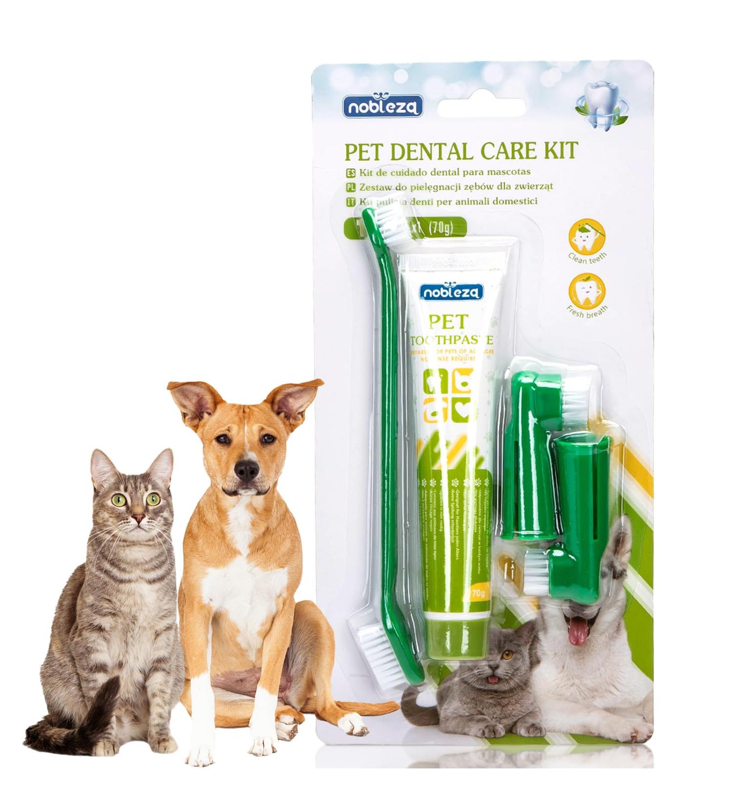 Dog toothbrush and toothpaste 2025