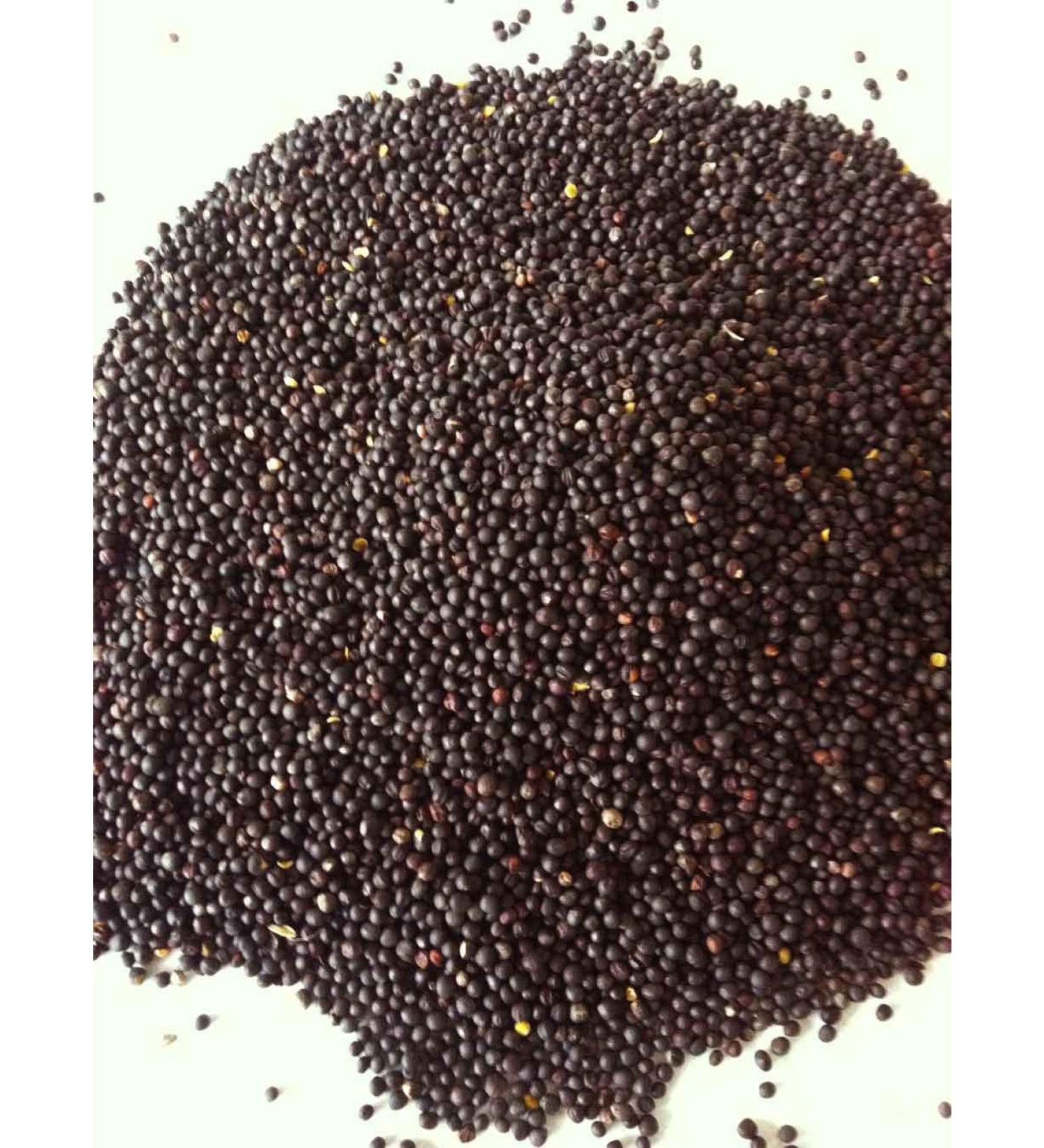 Natur-SHOP24 2 kg rapeseed seeds