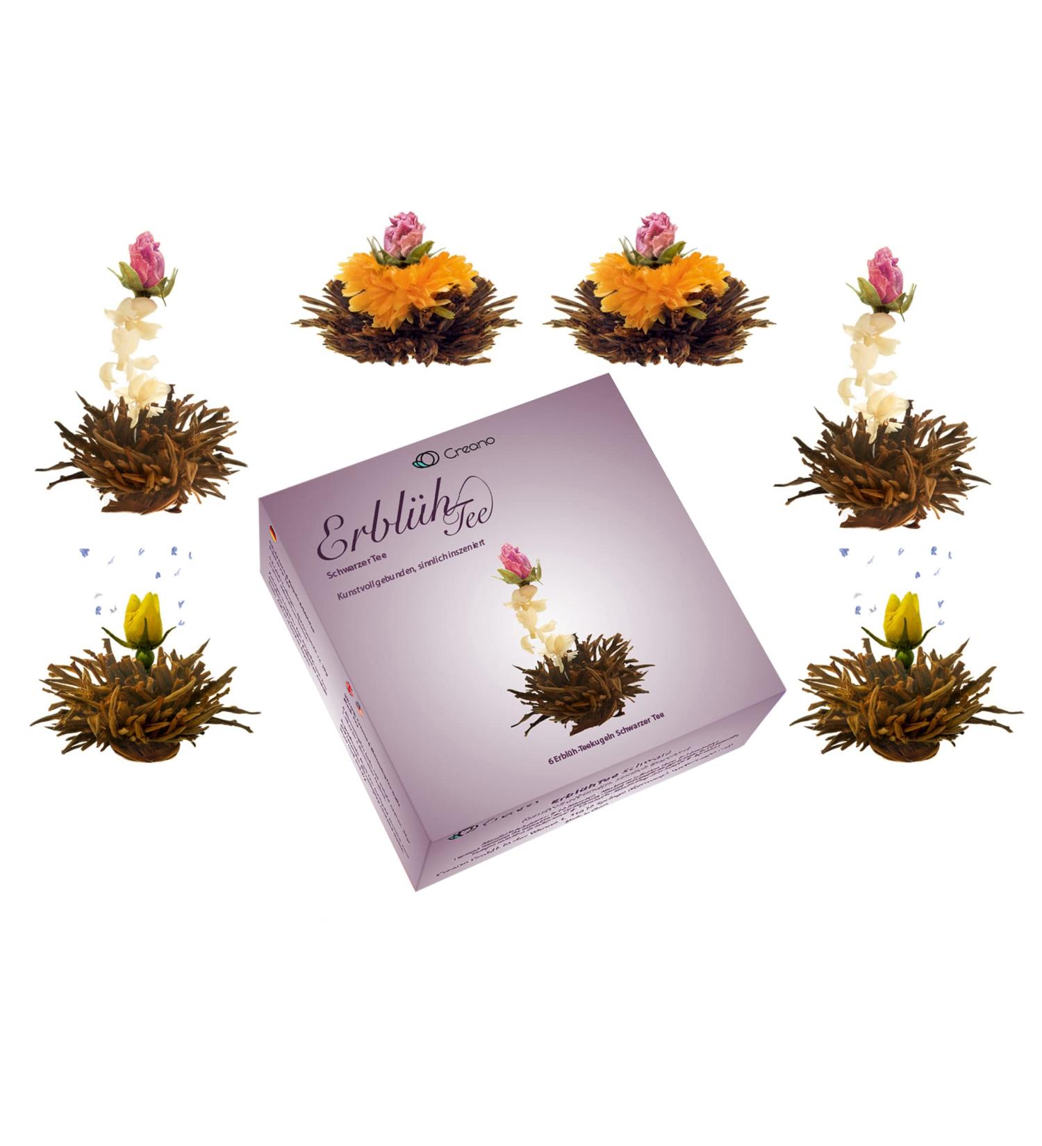 Creano Fleurs de Th Noirs 6 pcs Coffret D couverte pour s'initier Th Noir de Qualit Sup rieure avec diff rentes fleurs Cadeau pour amateurs - Buy Online on GoSupps.com