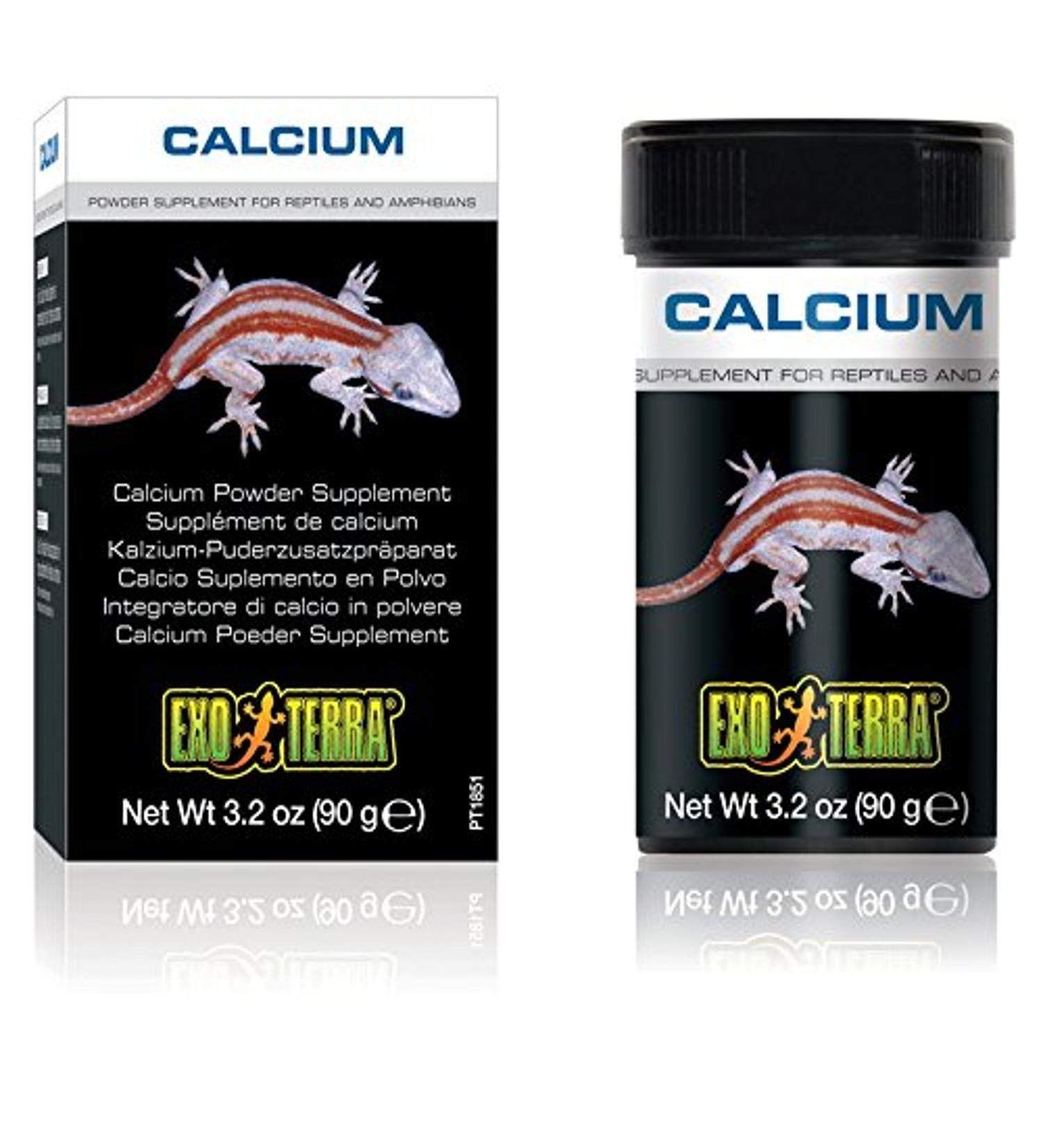 Buy Exo Terra Calcium 90g - Essential Reptile Supplement for Healthy Growth | Fast International Shipping - Buy Online on GoSupps.com
