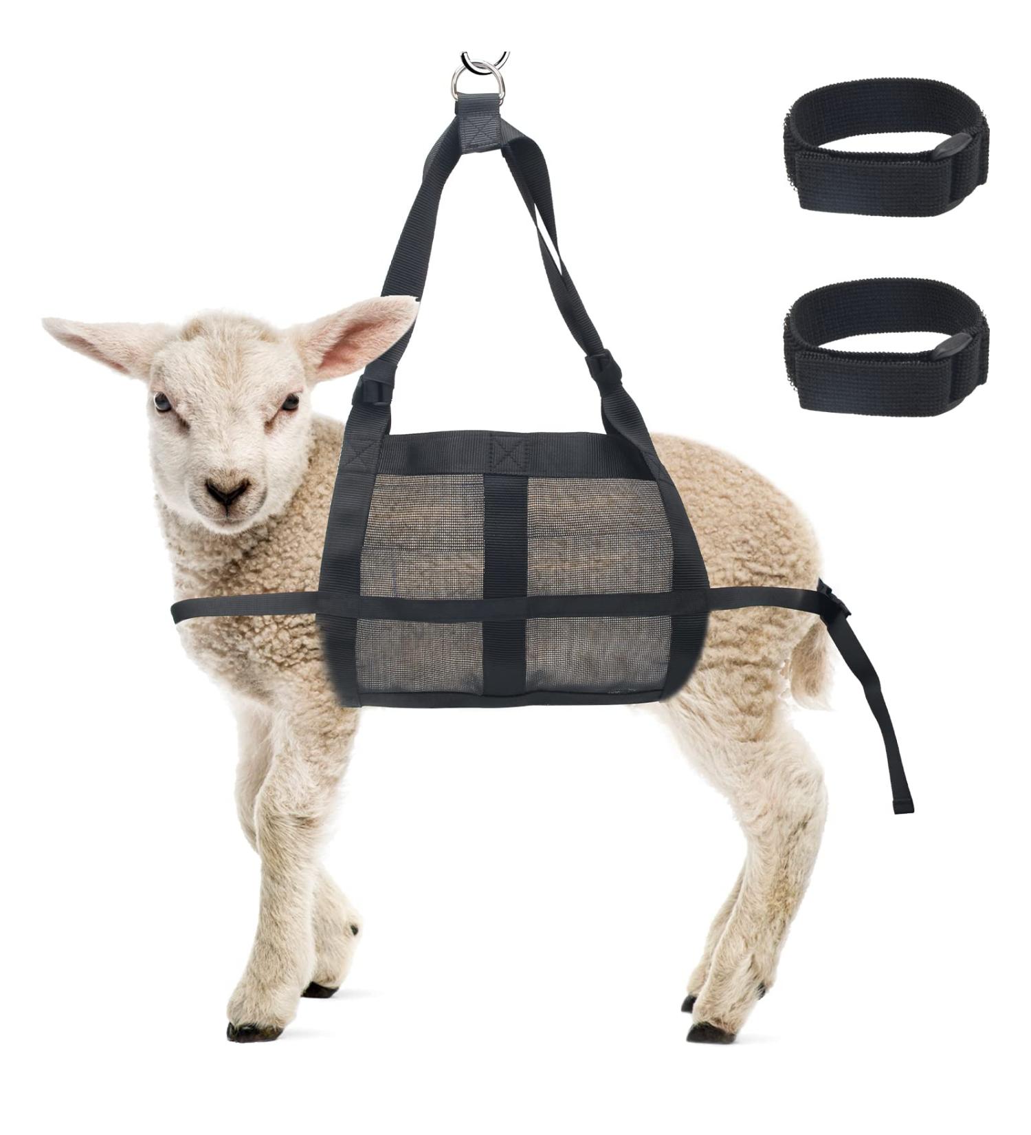 Boyistar 300 LB Calf Sling for Animal Weighing - Livestock Sling with Straps for Small Animals - Buy Online on GoSupps.com