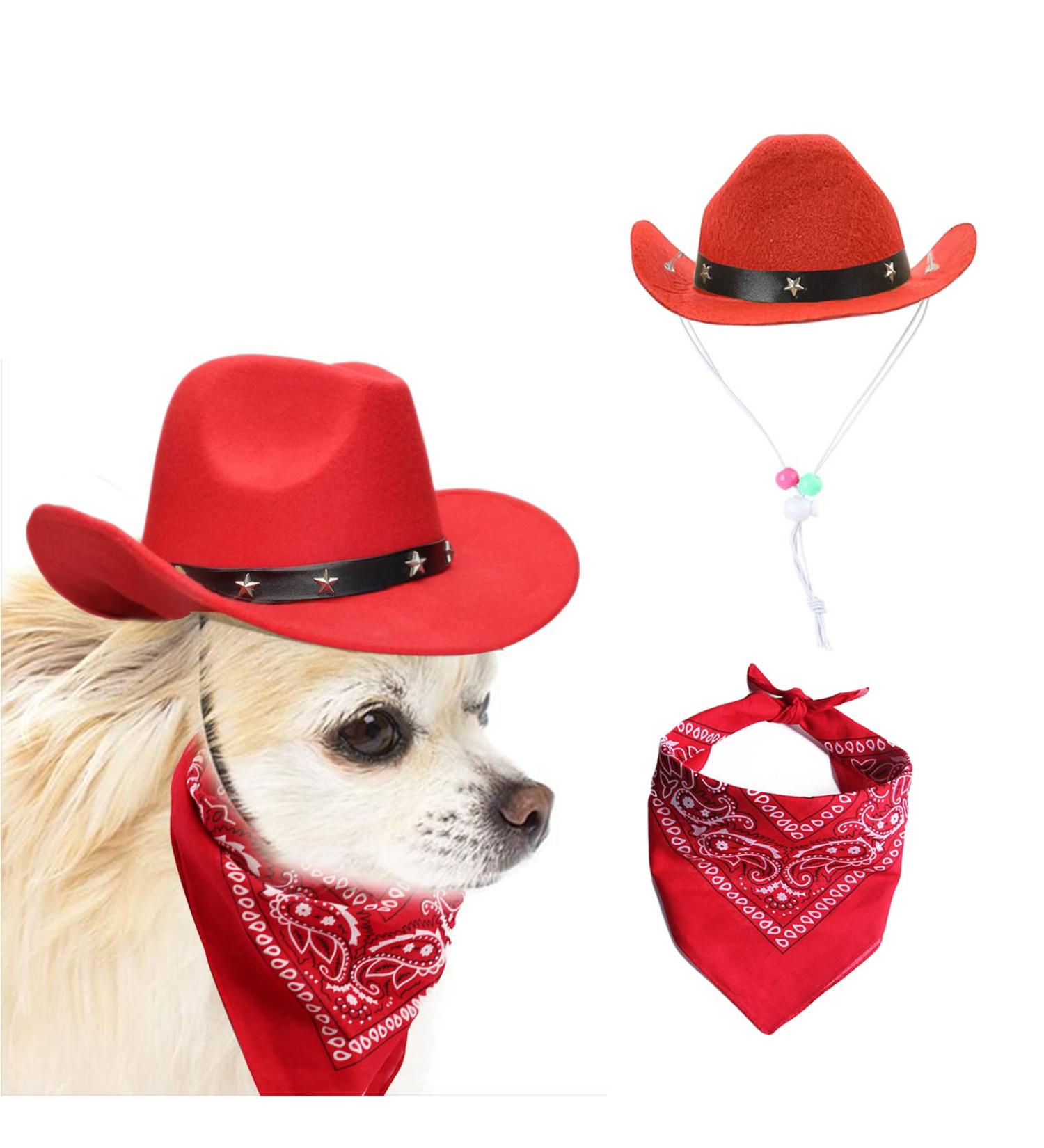 Awocan Red Dog Cowboy Hat & Bandana Scarf - Perfect Pet Costume for Parties & Vacations | International Shipping - Buy Online on GoSupps.com