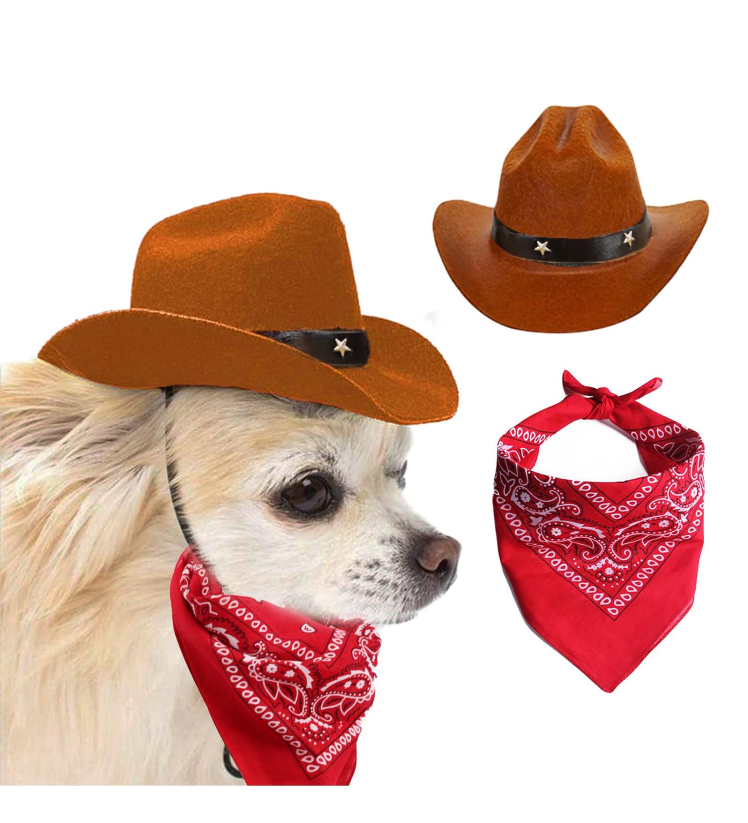 Awocan Dog Cowboy Hat & Bandana Scarf - Stylish Sombrero Costume for Dogs & Cats - Perfect Pet Party Accessory (Coffee) - Buy Online on GoSupps.com