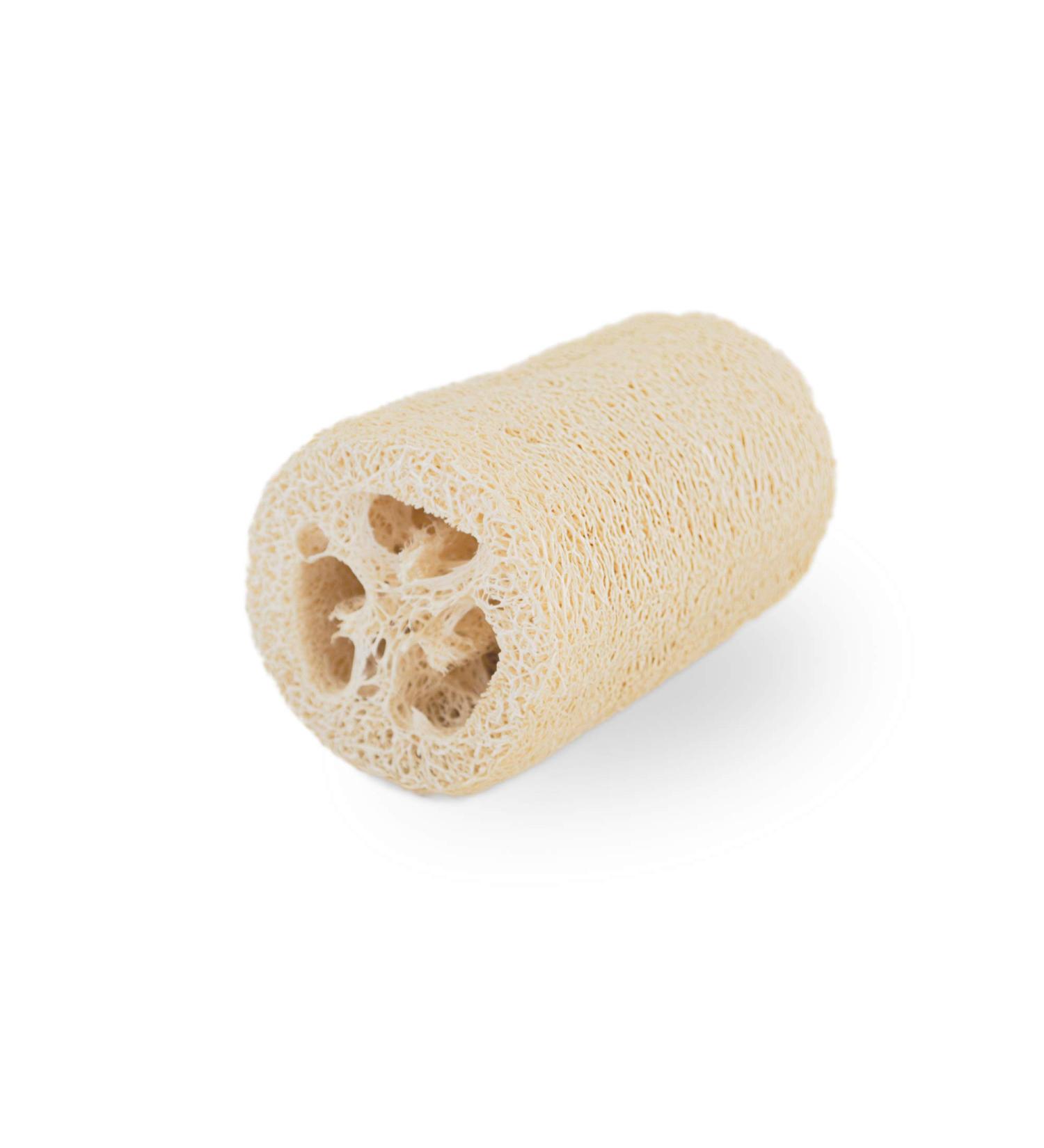 Shop Loofah Moments Natural Loofah Sponge | Plastic-Free Unbleached Shower & Peeling Sponge | Eco-Friendly 22 cm - Buy Online on GoSupps.com