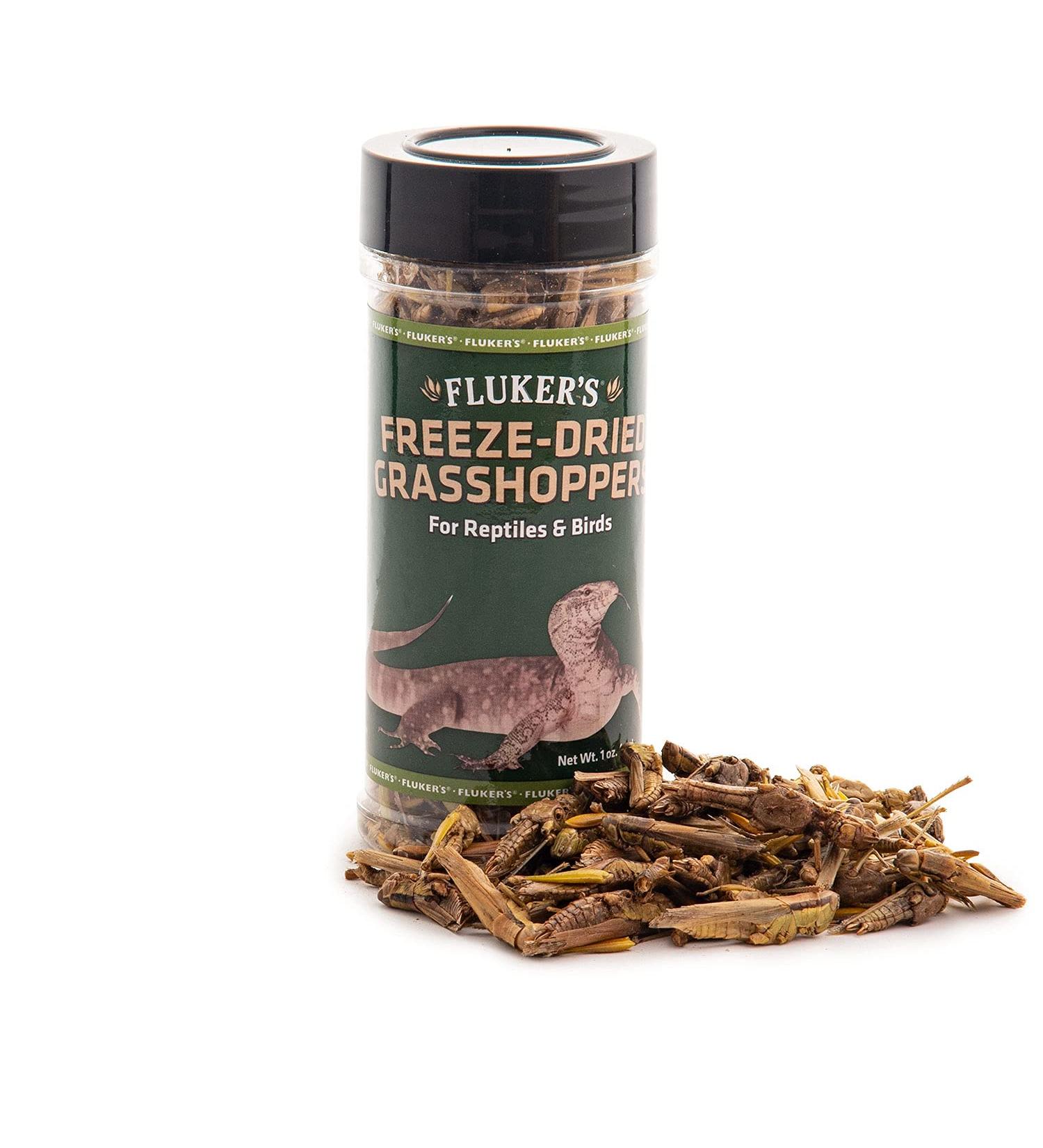 Fluker's Freeze Treats for Reptiles | Premium Healthy Snacks - Buy Online on GoSupps.com