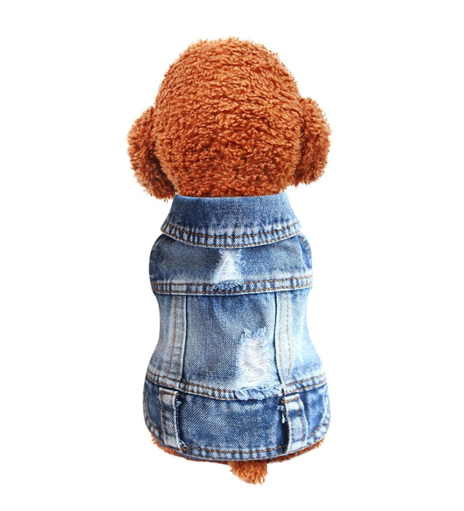 Stylish Pet Dog Denim Jacket Vest | Fashionable Denim Clothing for Small & Medium Dogs & Cats | Summer T-Shirt Sweater (XL C) - Buy Online on GoSupps.com