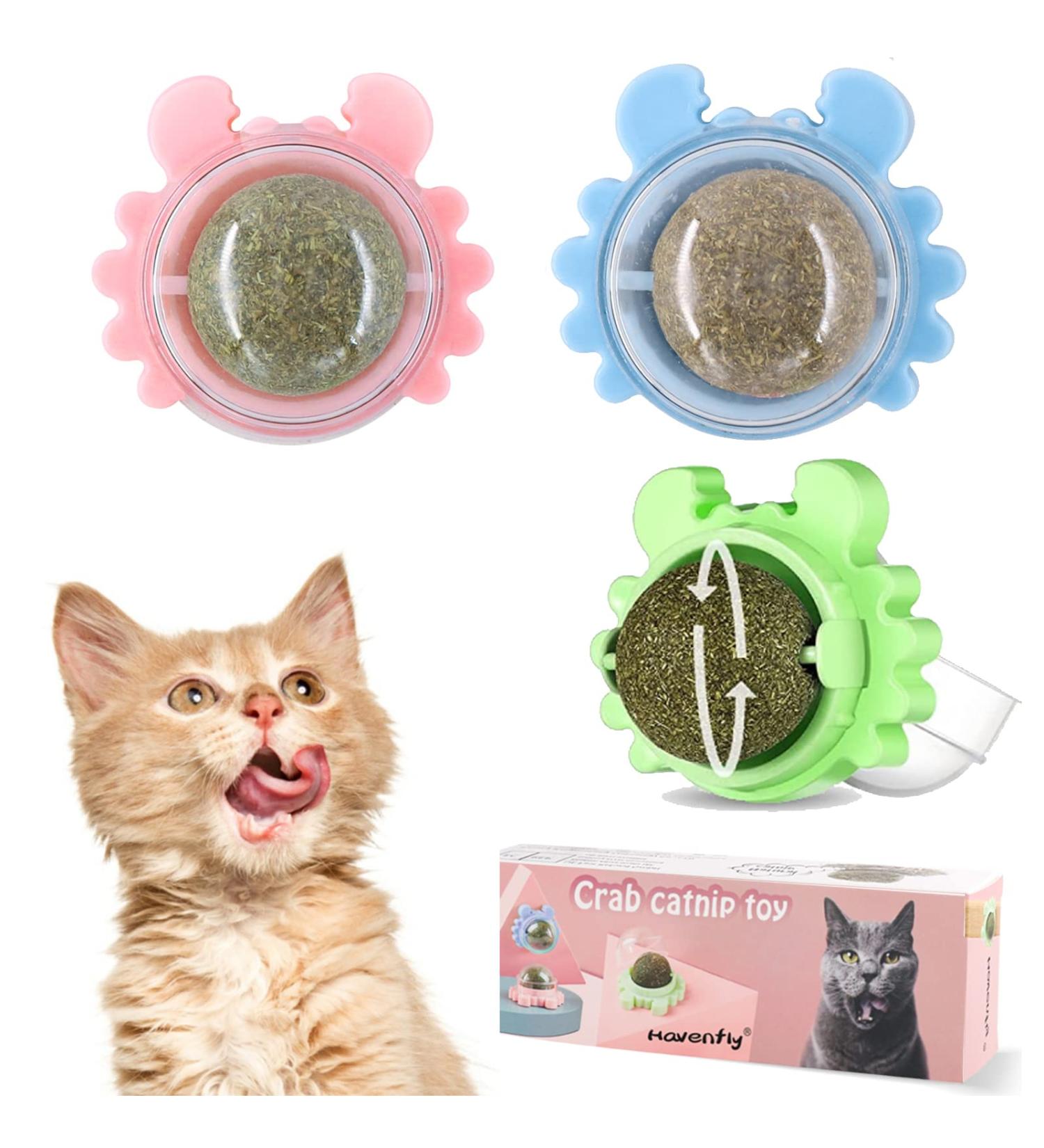 Havenfly 3 Catnip Balls Interactive Cat Toys 360 Rotating Catnip Treats with Storage Lid Effective for Cleaning Teeth and Enhancing Cat's Excitement (3PCS) - Buy Online on GoSupps.com