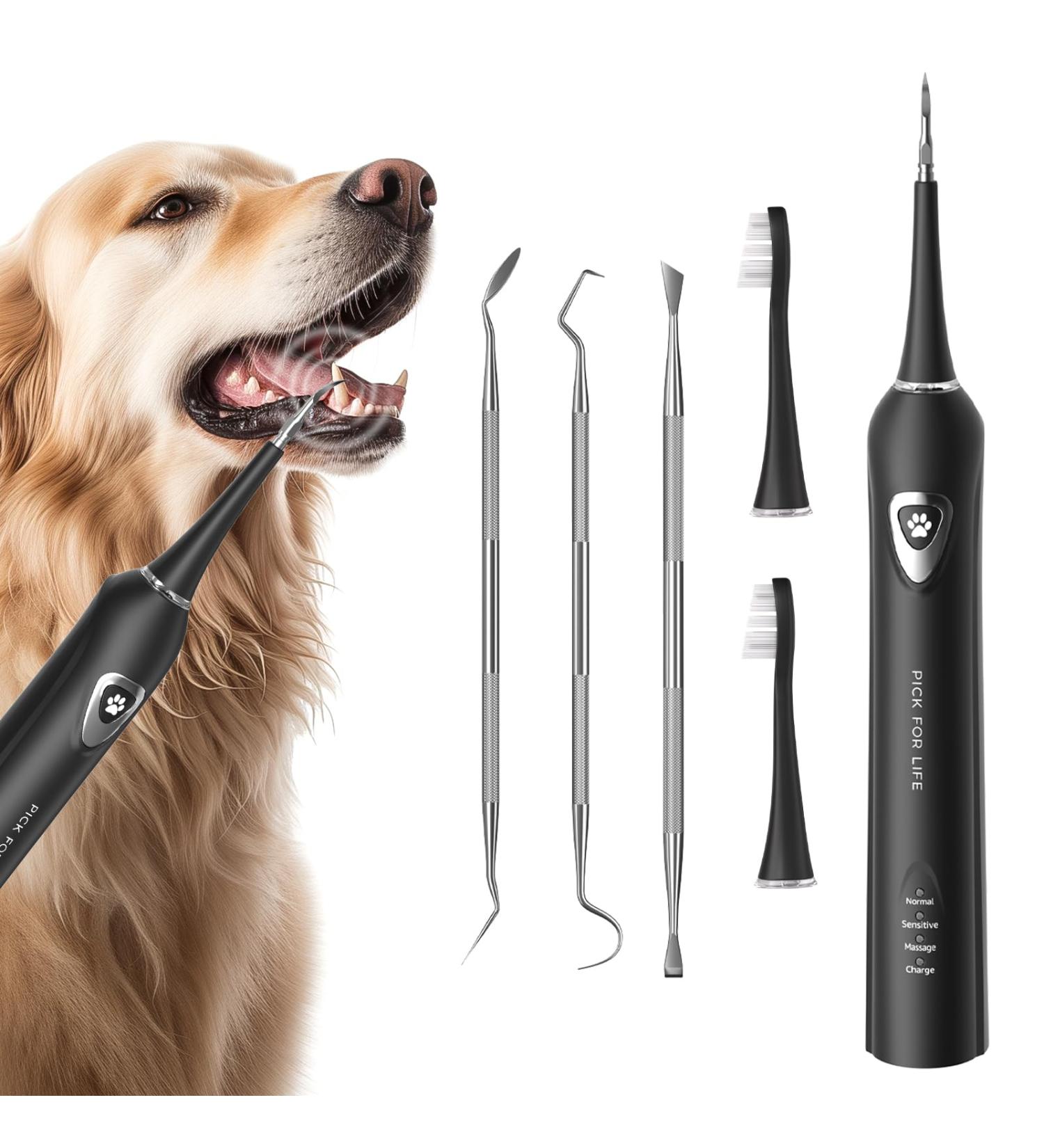 Effective Sonic Electric Plaque Tartar Remover for Dogs & Cats - Rechargeable Tooth Cleaning Kit - Buy Online on GoSupps.com