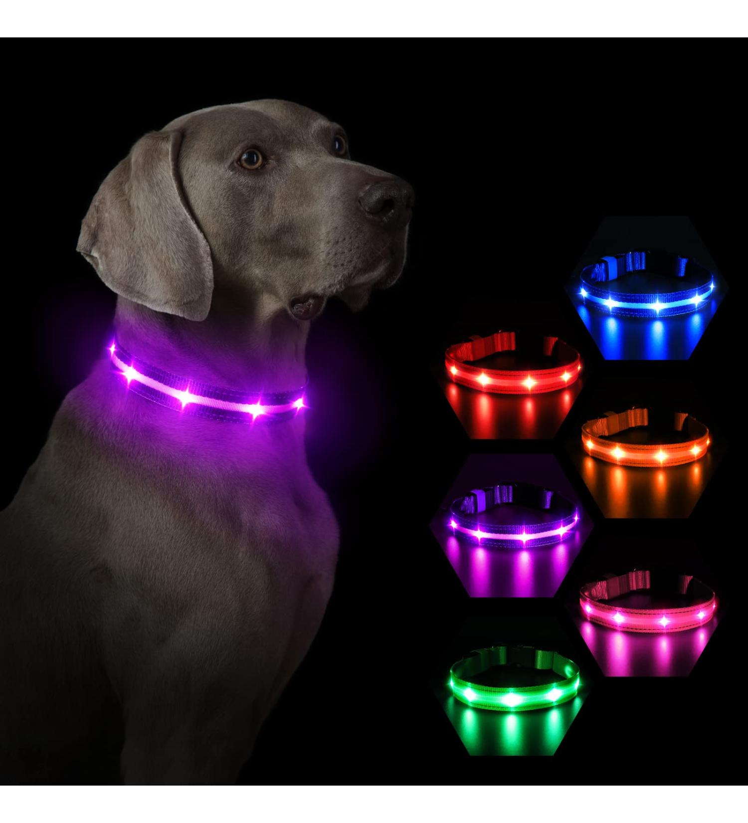 Buy Masbrill LED Dog Collar - Waterproof Luminous Safety Collar with 3 Flashing Lights for Small to Large Dogs (Purple 48-60cm) | International Shipping Available - Buy Online on GoSupps.com