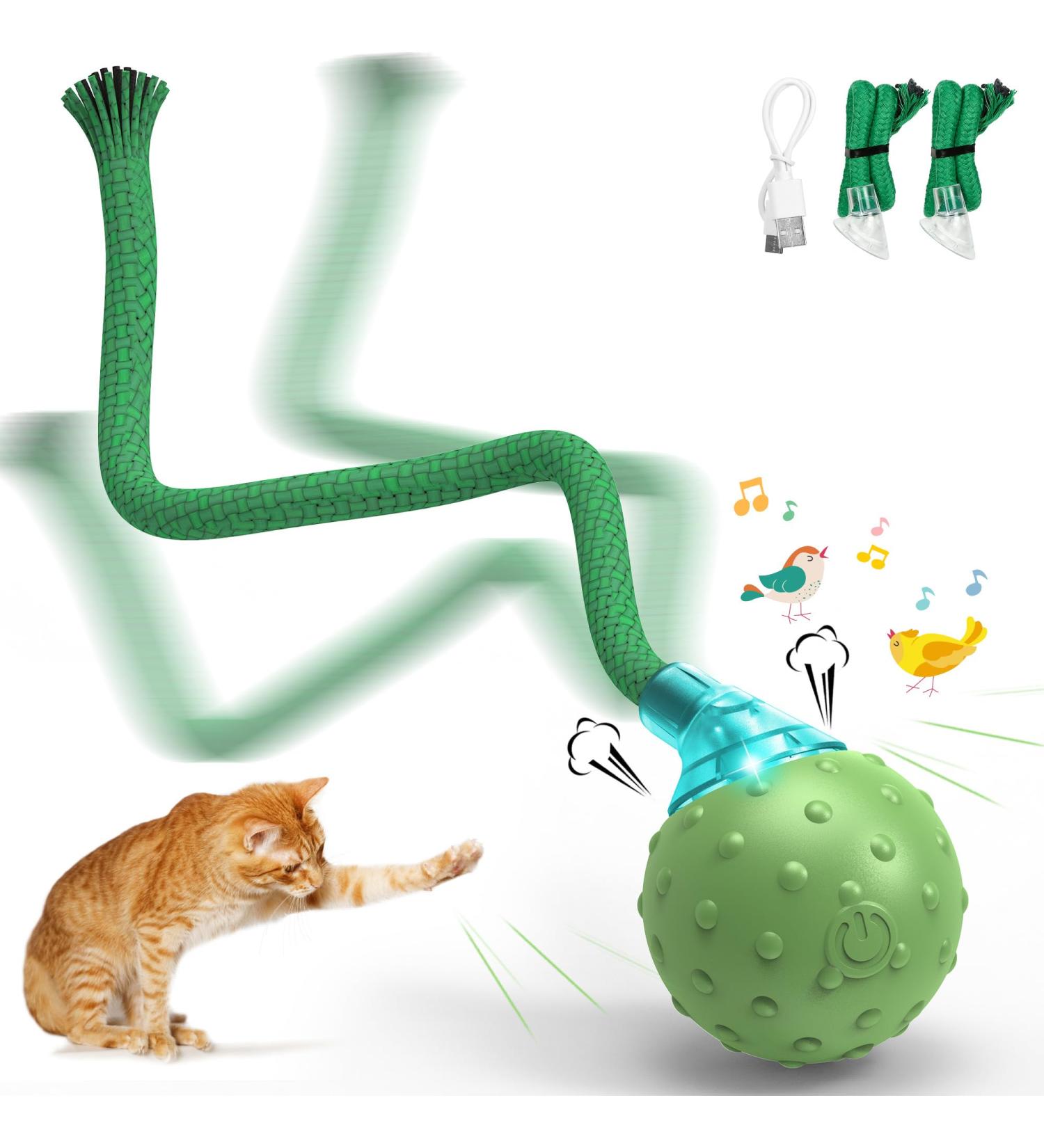 IOKHEIRA Interactive Cat Toy Cat Toys for Indoor Cats Adult Motion Activated Automatic Moving Ball Toy Electric Automatic Cat Toys with 2 Long Tail Teaser Suitable for All Floors and Carpets Green - Buy Online on GoSupps.com