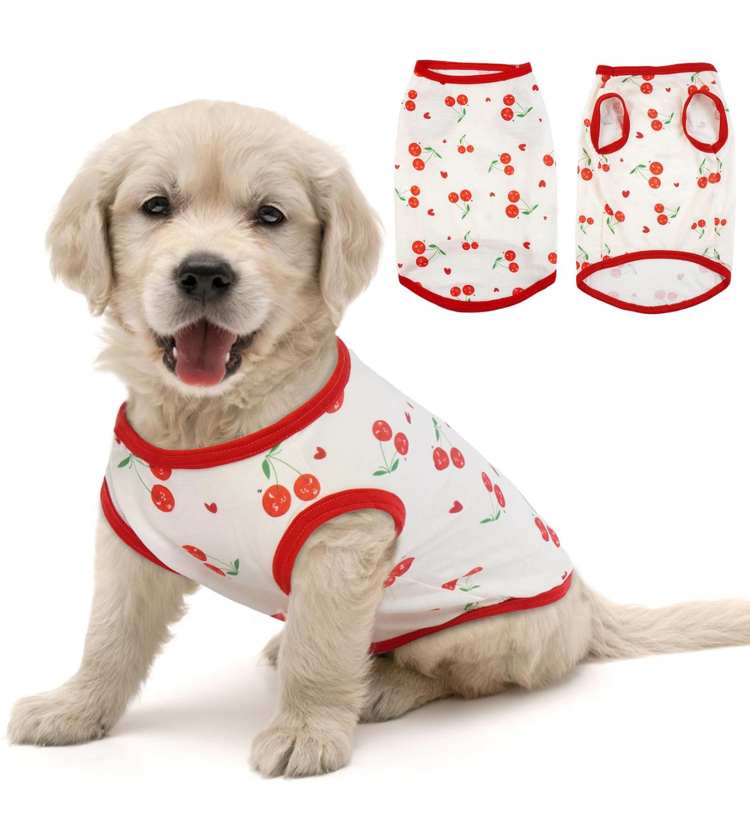 Shop Hjumarayan Dog Sweater for Small Dogs - Soft Breathable Chihuahua & Yorkshire Terrier Shirts (XS Cherry Red) - Buy Online on GoSupps.com