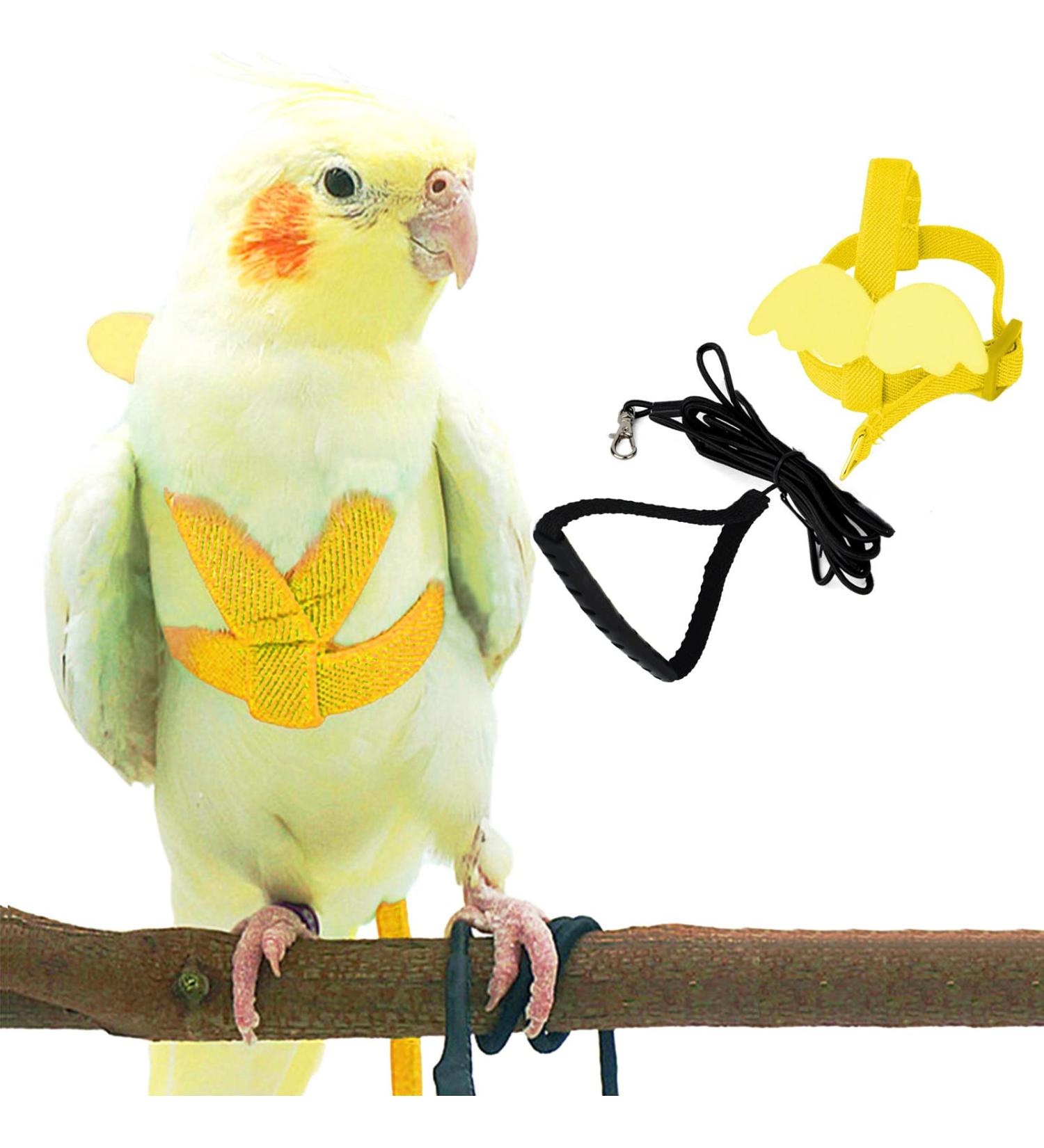 Adjustable Pet Parrot Bird Dishes & Leash | Anti-Bite Design & Nylon Rope for Alexandrin Scarlet Red & Keck Birds - Buy Online on GoSupps.com