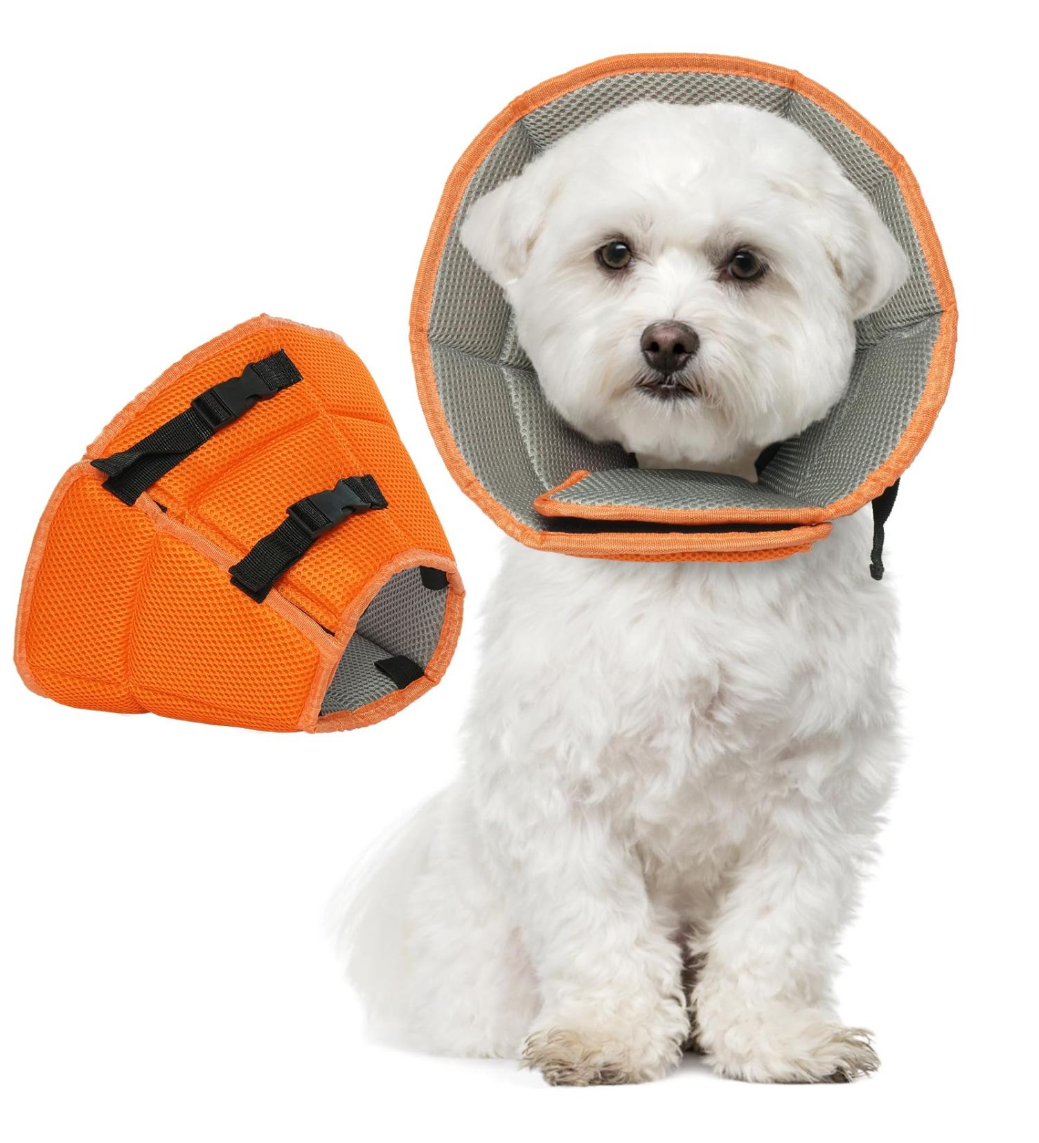 Kuoser Adjustable Dog Collar - Comfortable Lick Protection for Dogs | Prevent Bite and Wound Healing | Size S - Neck 24-30cm - Orange - Buy Online on GoSupps.com