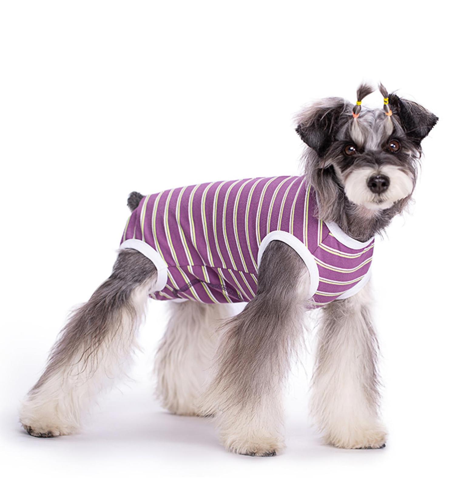Recovery Suit for Dog Puppy Medical Surgical Suit Pet Anti-licking Surgery Suit Dog Surgical Recovery Suit Dog Surgical Onesie Suit Dog Surgical Vest for Abdominal Wounds (Purple M) M Purple - Buy Online on GoSupps.com