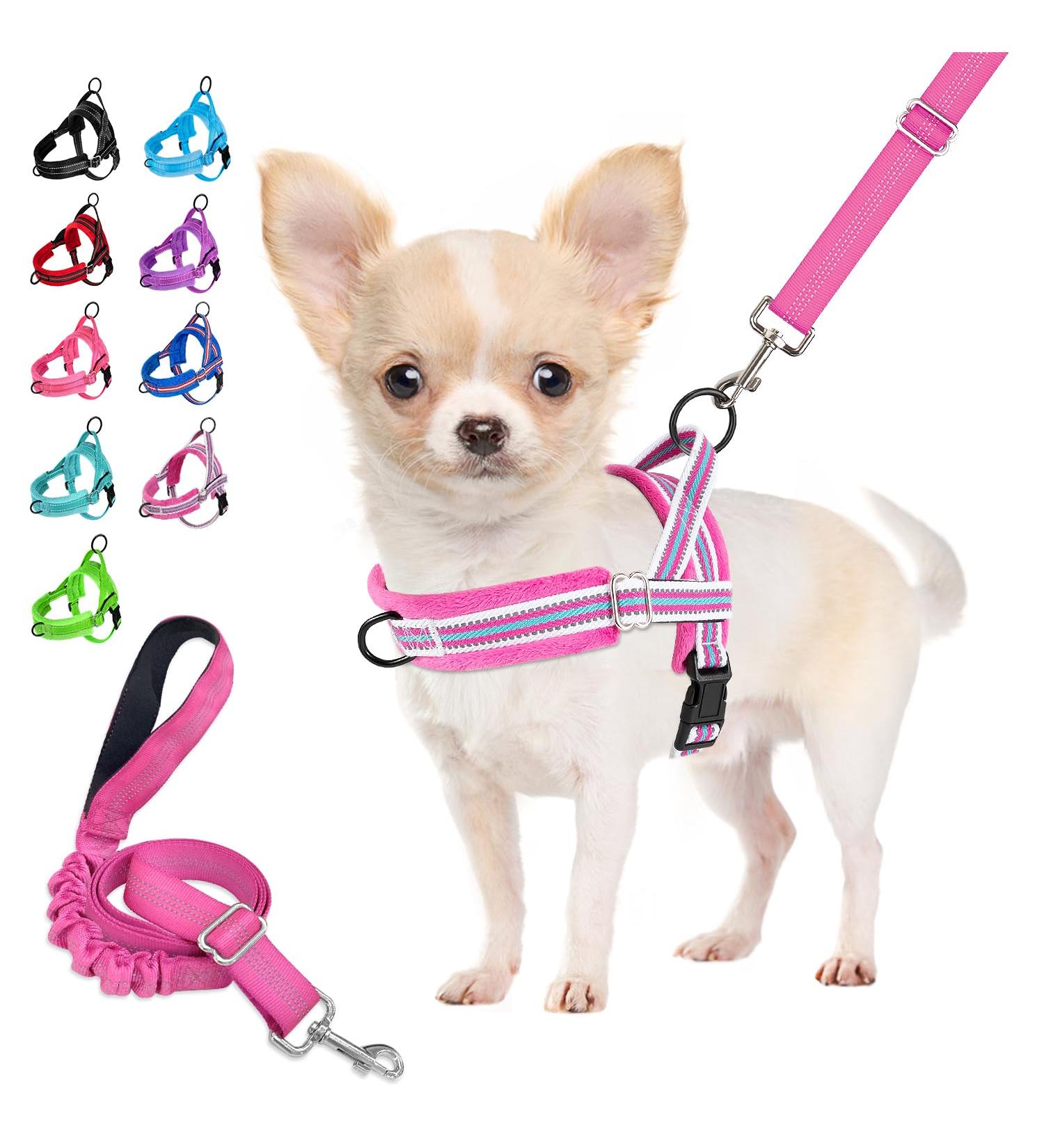 Eyein No-Pull Dog Harness with Leash Soft Padded Reflective Adjustable for Puppies Small & Large Dogs Cats Rose Red (Size S) International Shipping Available - Buy Online on GoSupps.com