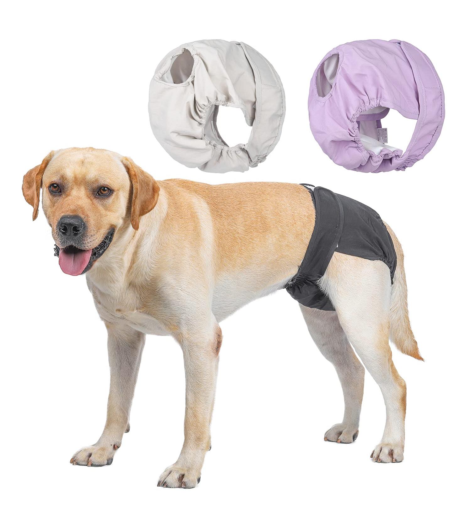 Petmia Washable Dog Diapers - Hygiene Underpants for Dogs in Heat 5 Sizes XS to XL Available in Beige Black & Purple (3-Pack) - Buy Online on GoSupps.com
