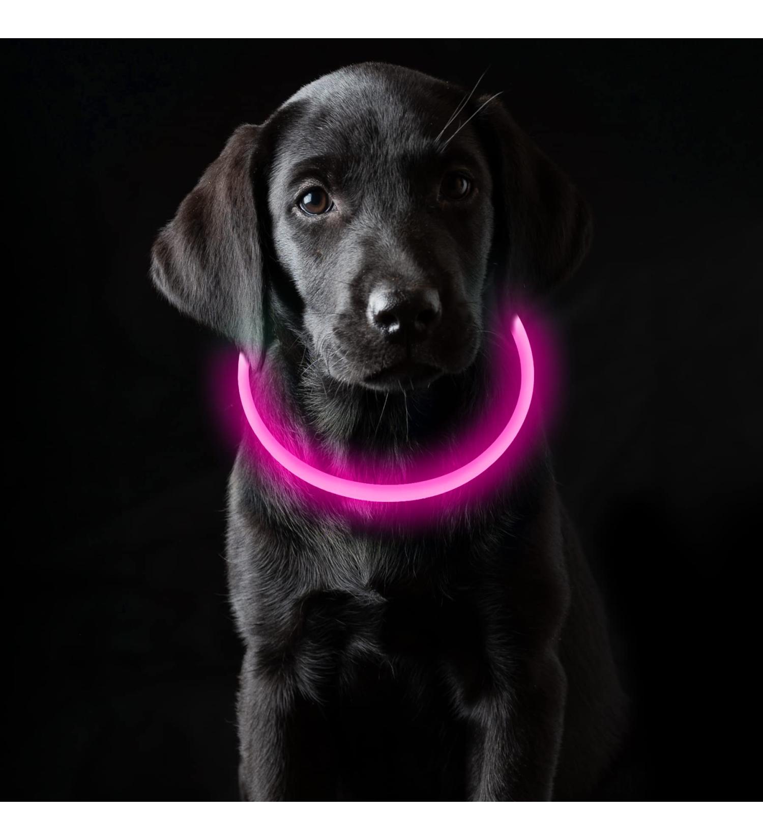 Coolzon LED Light Neck Band Dog Collar - Waterproof & Adjustable - 3 Modes Super Bright for Small to Large Dogs & Cats - Pink - Buy Online on GoSupps.com