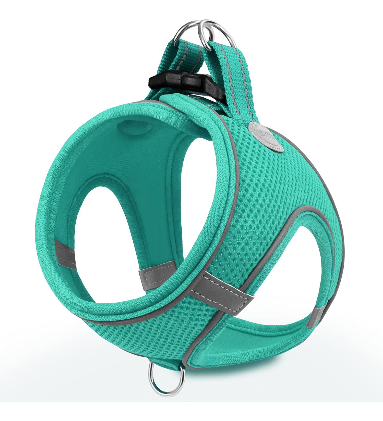 Joyal Dog Harness for Small Dogs - Reflective Soft Padded Air-Mesh Breast Plate | Turquoise Size S (38-42cm) - Buy Online on GoSupps.com