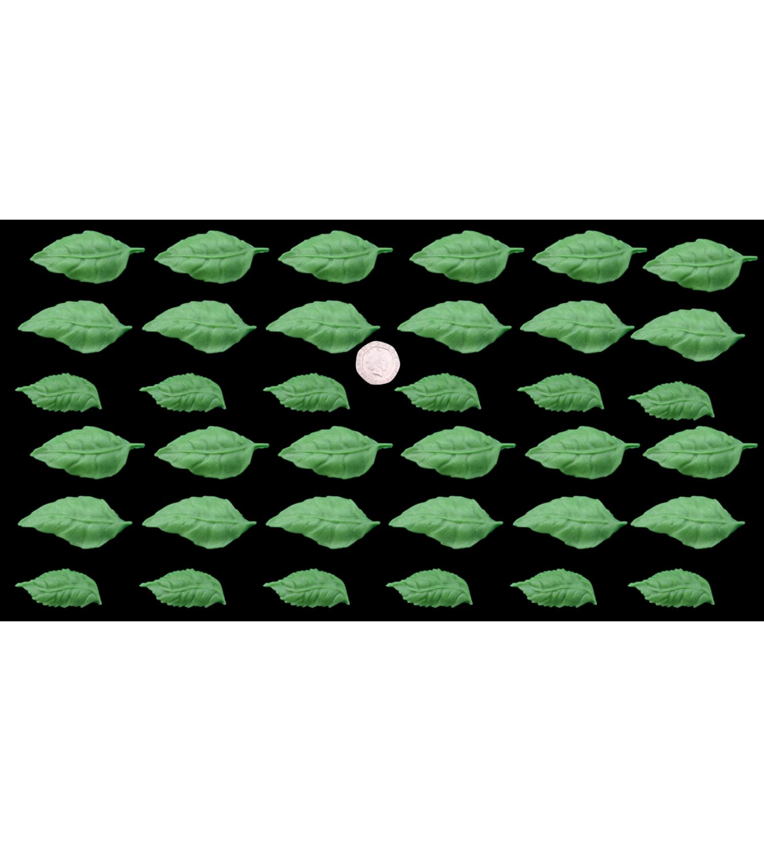 36 x Edible 3D Large Mixed Green Leaves Set 4 Flowers icing toppers cake cupcakes decorations (Green)