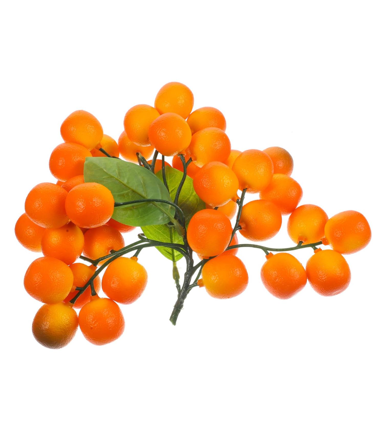 Ciieeo String Foam halloween fake fruit egg fruit branch decorations artificial fruit bunch crafts fruit flowerpot decorate puzzle skull fake fruit skewers Model fruit skewers Toy - Buy Online on GoSupps.com