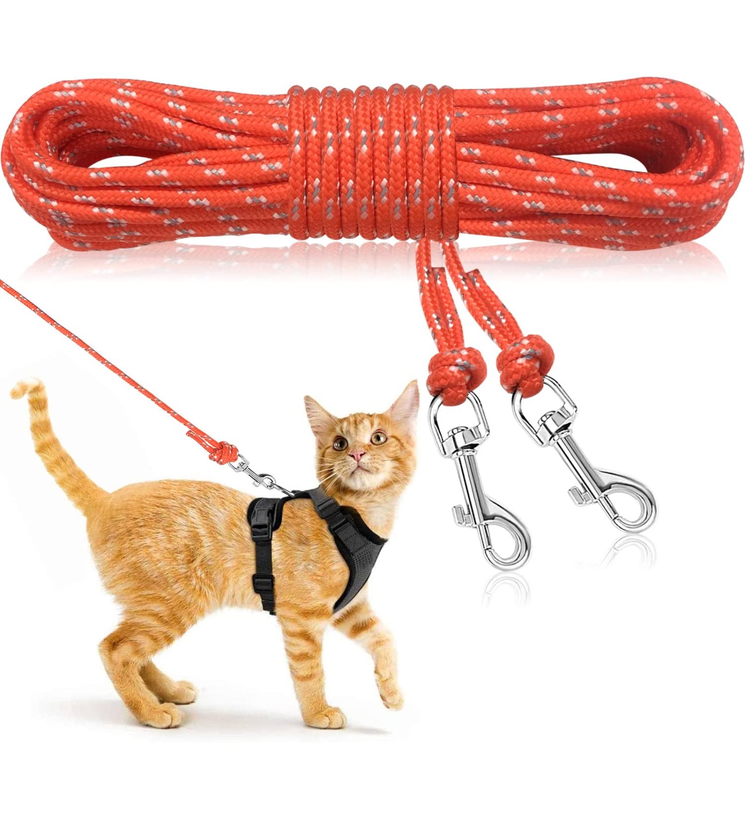 Ranypet 15m Reflecting Long Line for Cats & Small Animals - Safe Durable Leash in Orange for Kittens Puppies & Rabbits - Buy Online on GoSupps.com