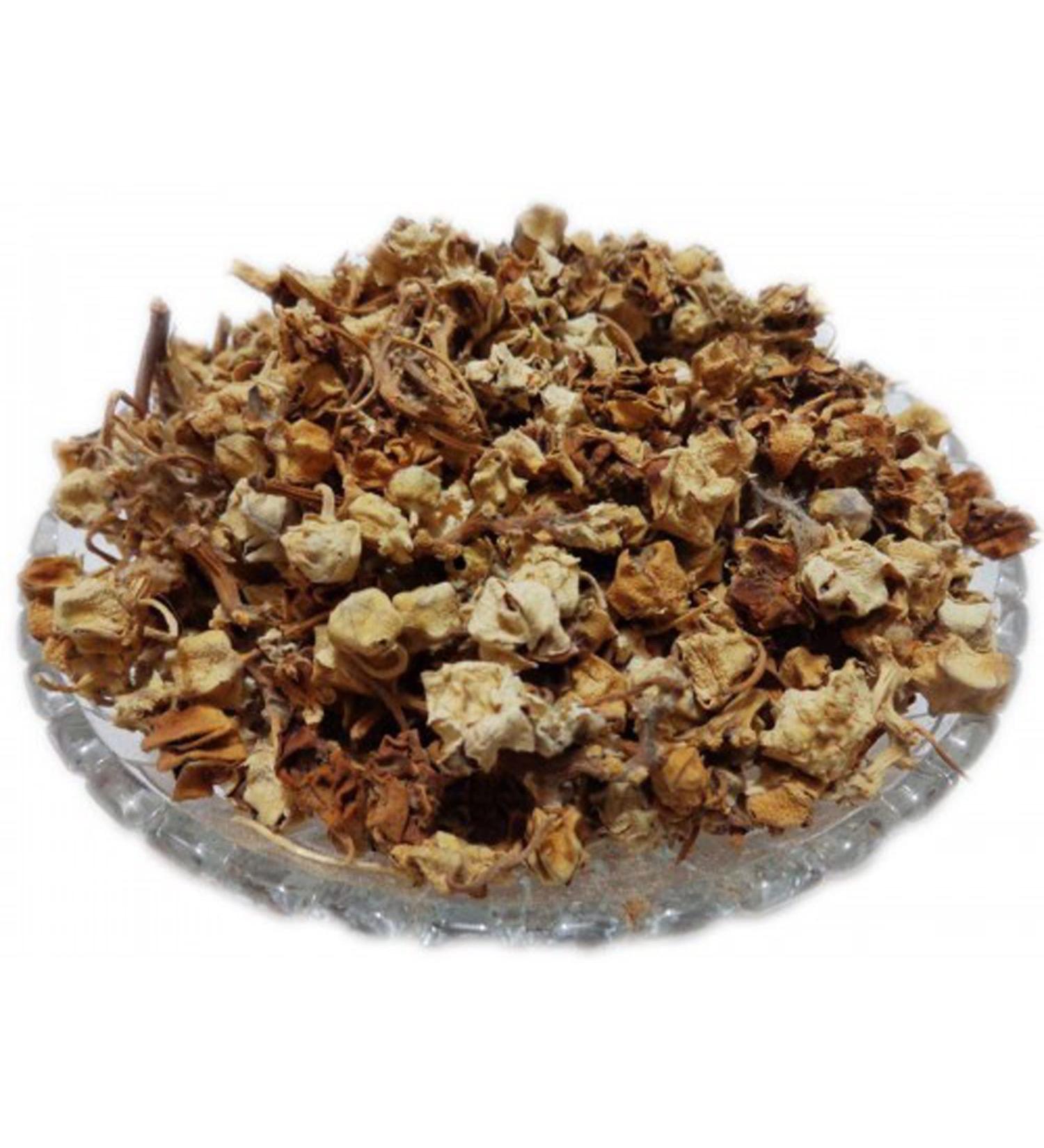RAW HERBS/JADI BOOTI DRIED AAK PHOOL DRIED MADAR CALOTROPIS PROCERA (500GM) 500 g (Pack of 1) - Buy Online on GoSupps.com