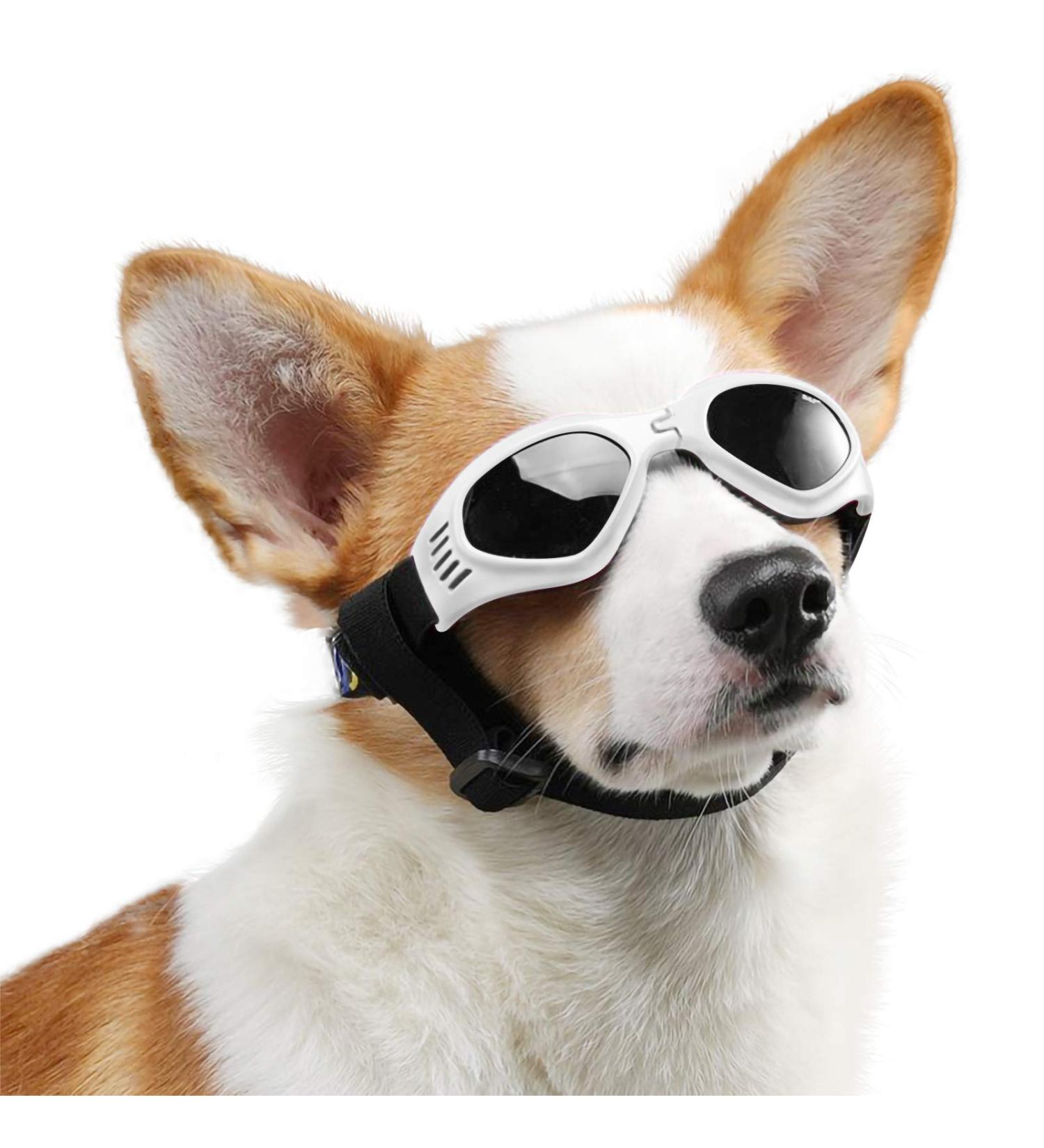 PEDOMUS Dog Sunglasses - UV Protection & Waterproof for Small & Medium Dogs | Adjustable Strap | White - Buy Online on GoSupps.com