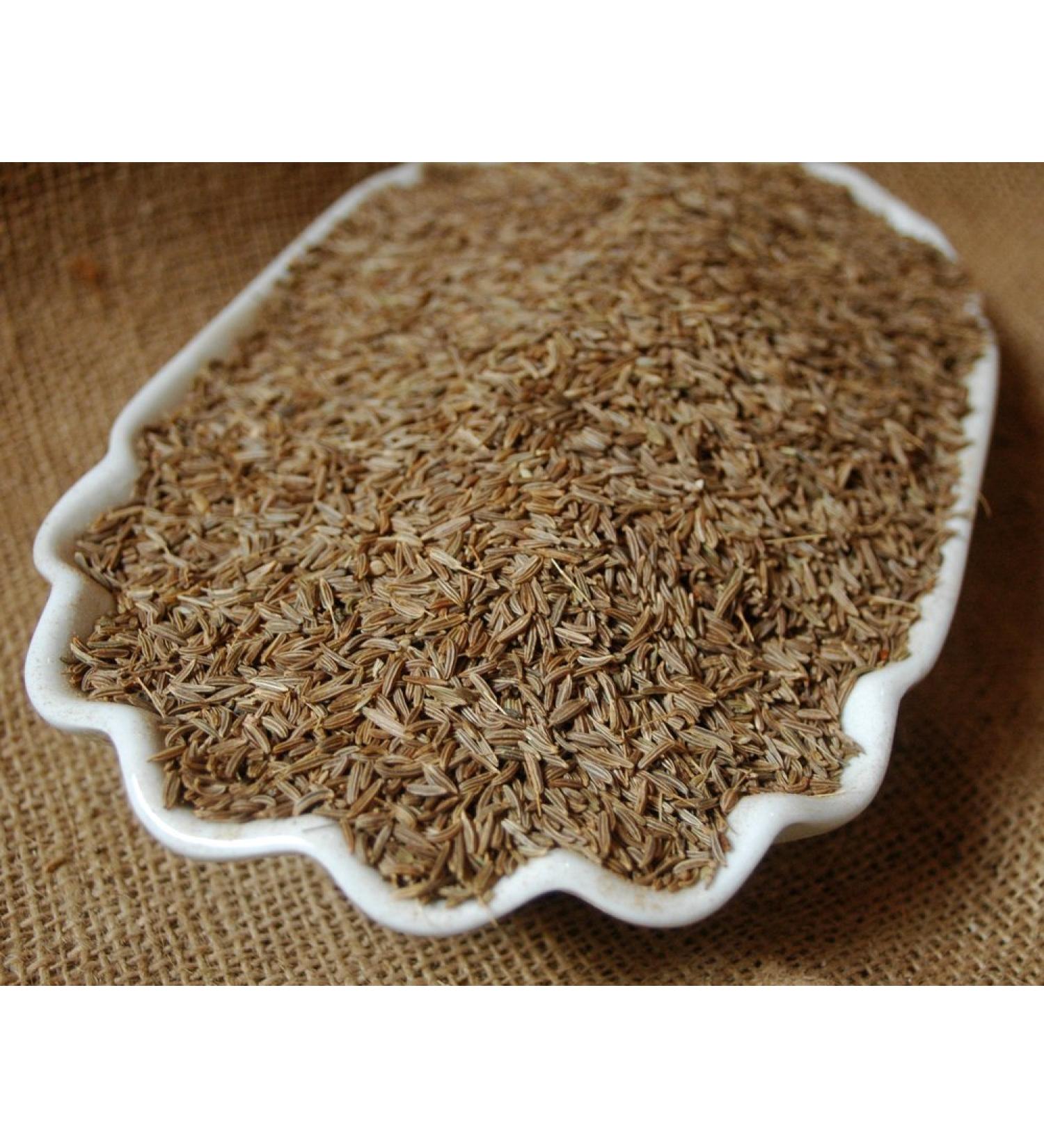 Naturix24 Cumin (Carum Carvi) 100 g