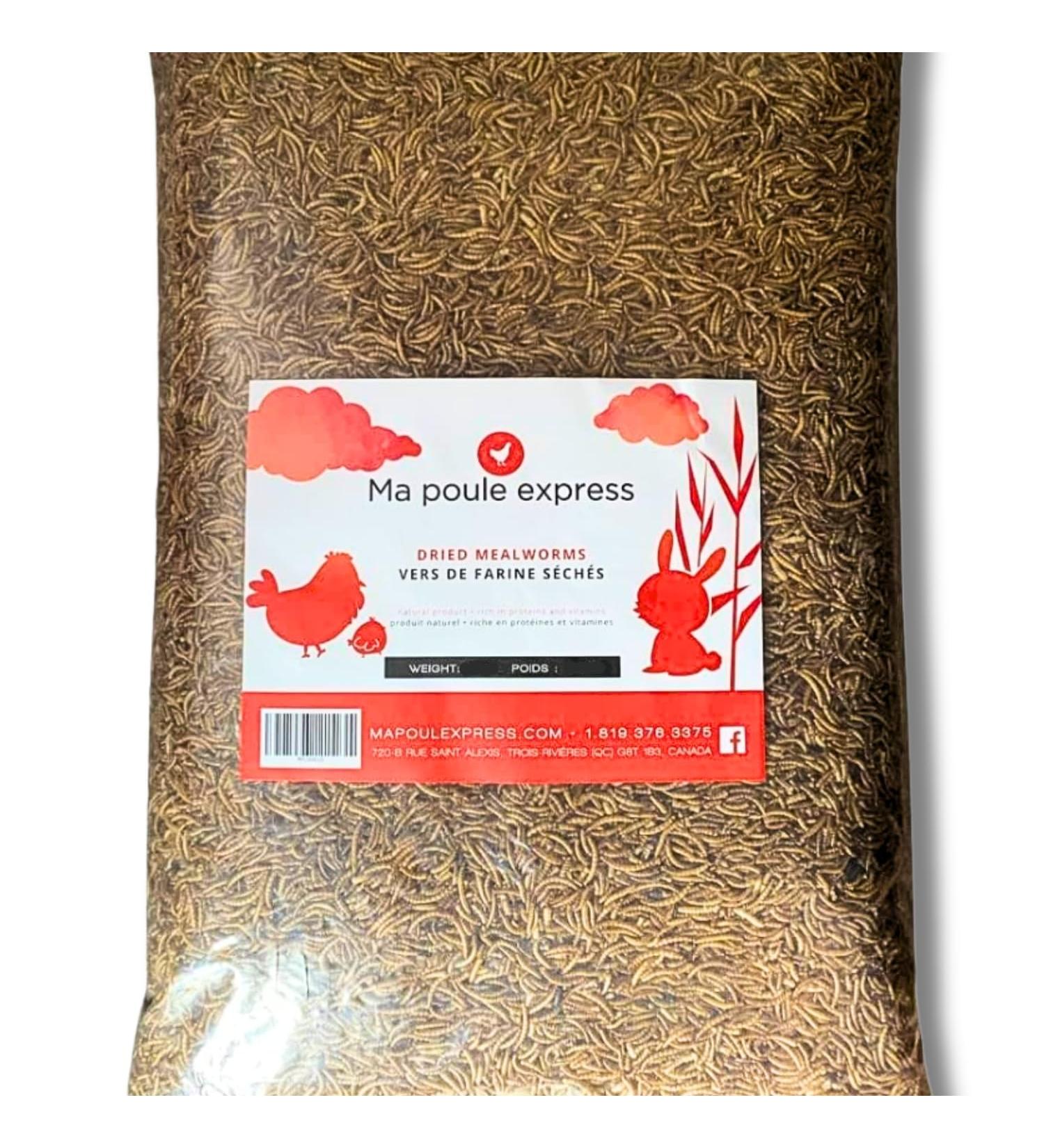 Dried Mealworms for Bird Poultry 11 LB - Buy Online on GoSupps.com