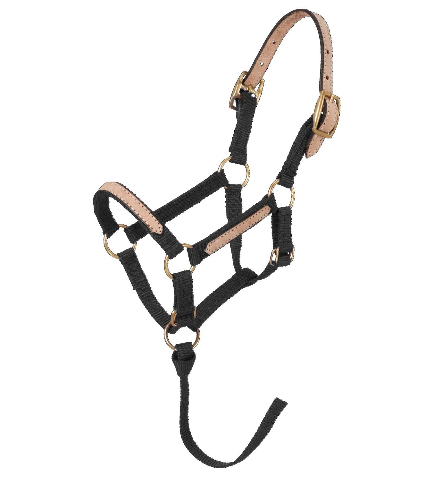 Tough 1 Miniature Nylon Break-Away Halter Small Black