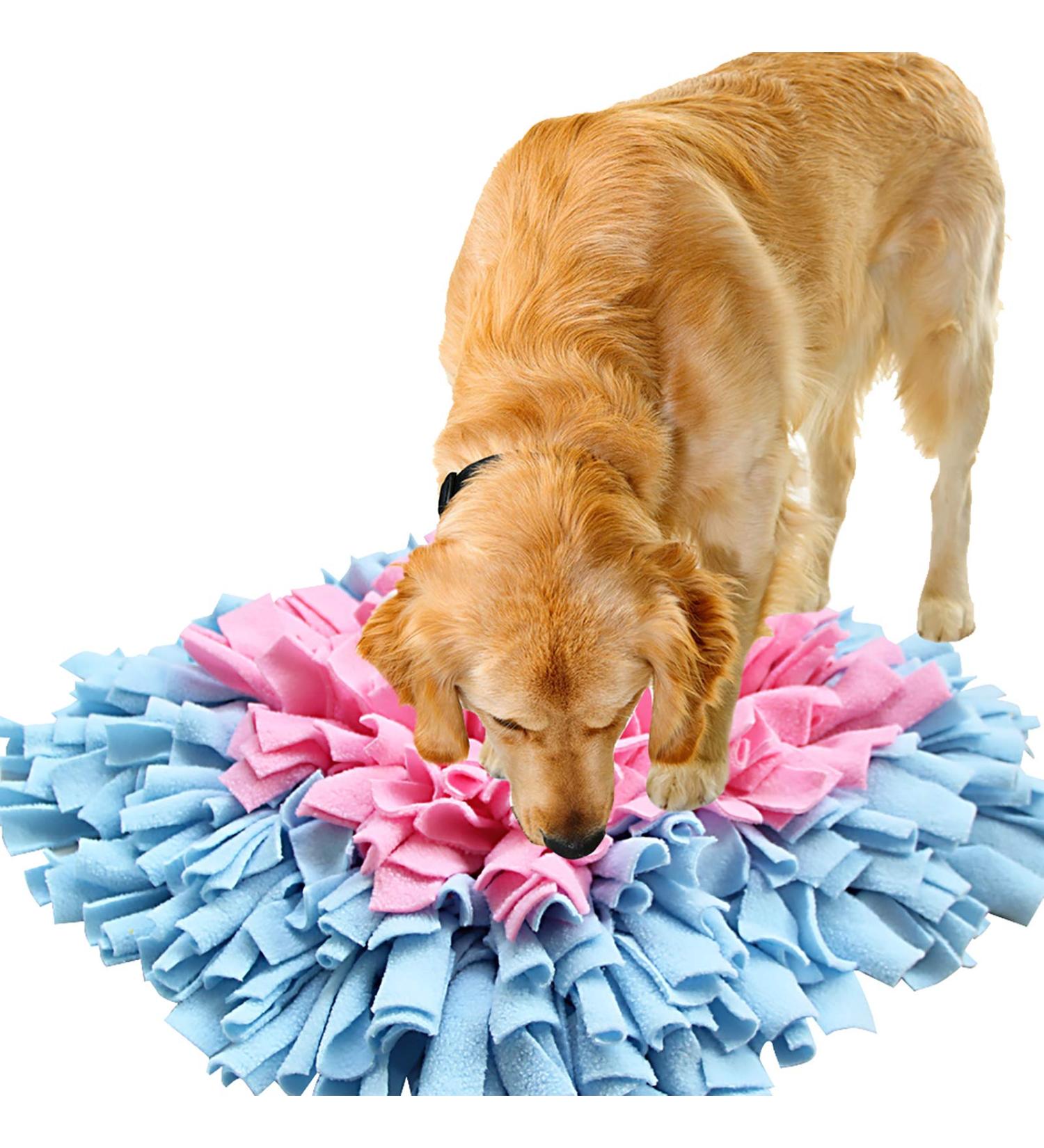 Sniffing Carpet Dog Smell Training Mat | Ieuumler 45x45cm | Blue & Pink | Ideal for Pet Dogs & Cats - Buy Online on GoSupps.com