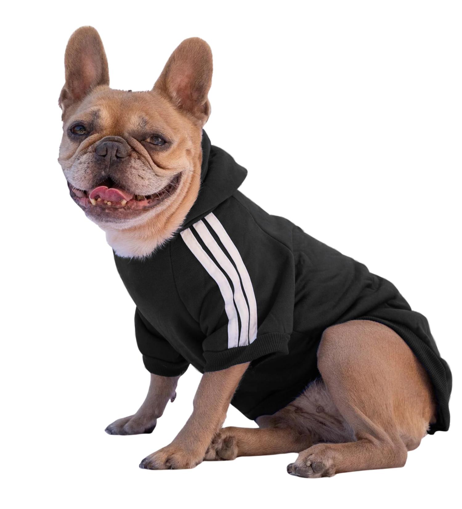 Ducomi Dog Sweater with Hood - Warm & Soft Single-Colored XS Black Clothing for All Breeds - Buy Online on GoSupps.com