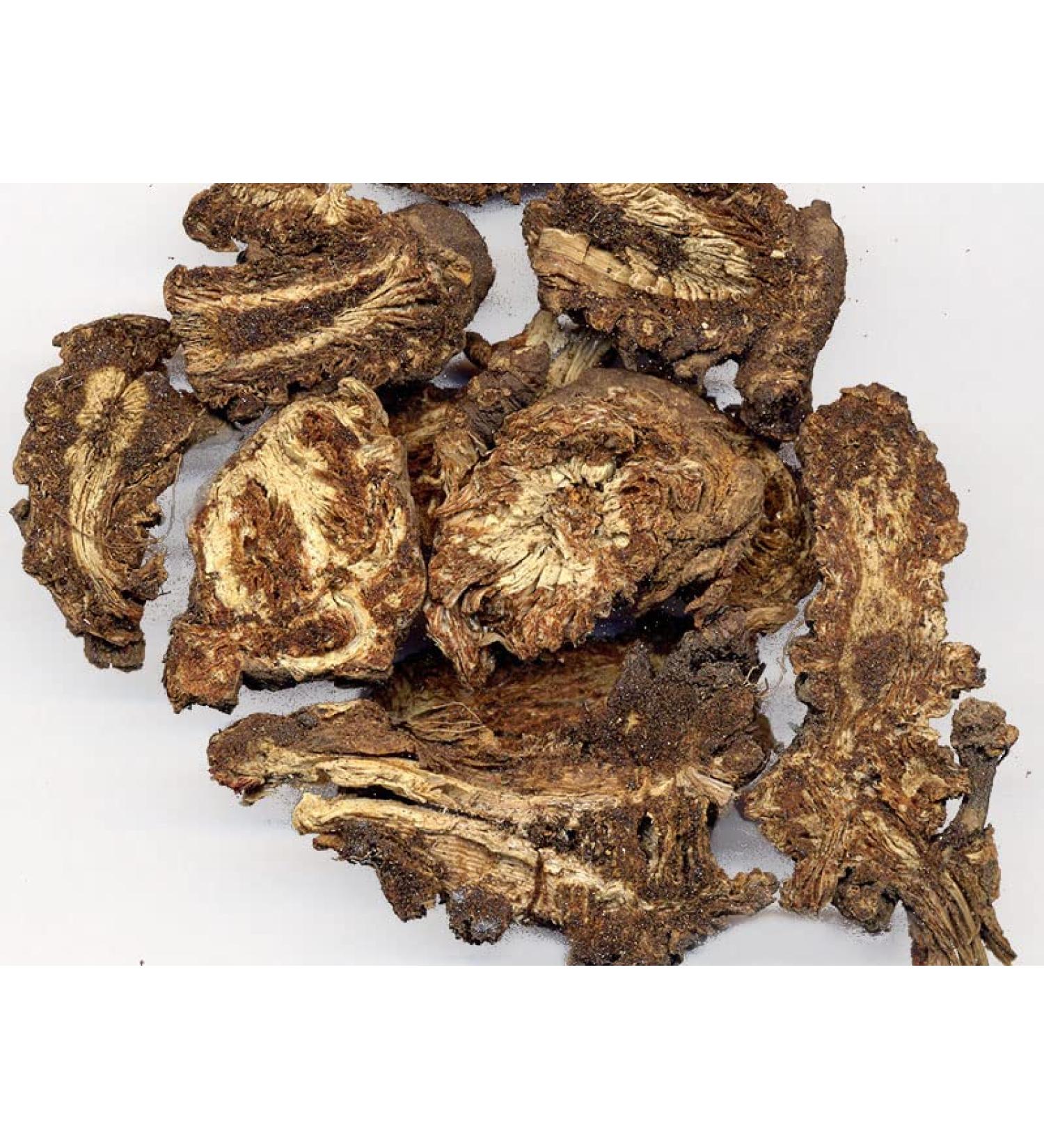 TCM Herbs USA Sheng Ma / Rhizoma Cimicifugae / Cimicifuga / Bugbane Rhizome / Black Cohosh Rhizome Slice (8 oz)