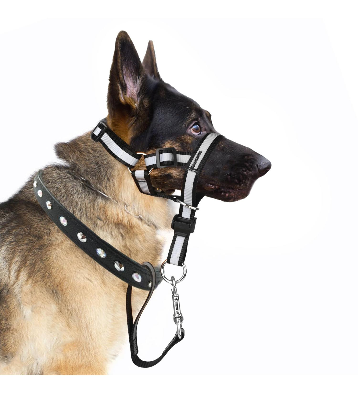 Dog Head Collar No Pull Gentle of Leader for Dogs Adjustable Dog Head Halter Reflective Anti-Pull Muzzle Leash Dog Nose Strap Easy to Control When Walking (Size L) - Buy Online on GoSupps.com