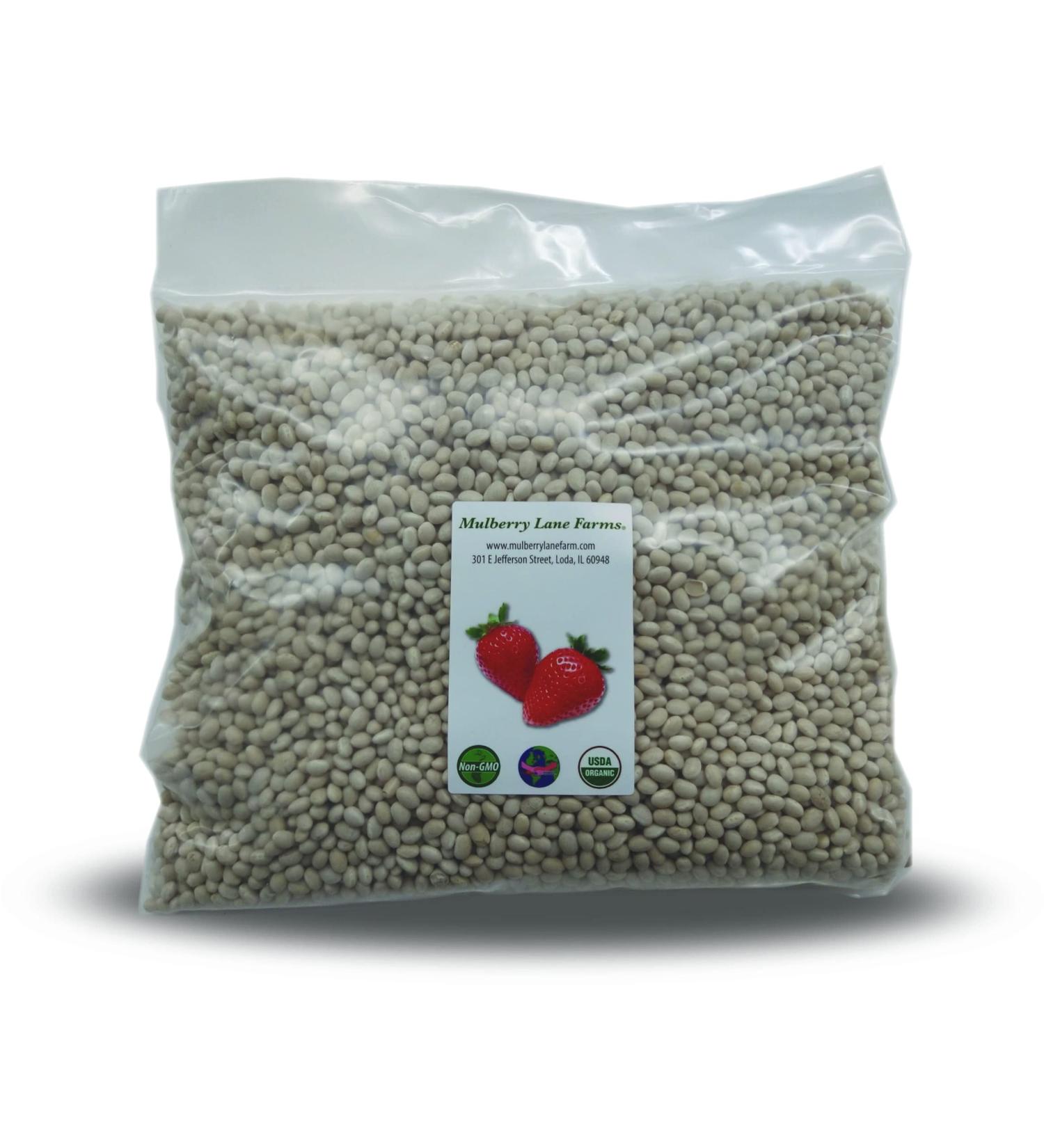 Organic Non-GMO Navy Beans - 5 Pounds Bulk, Product of USA - Buy Online on GoSupps.com