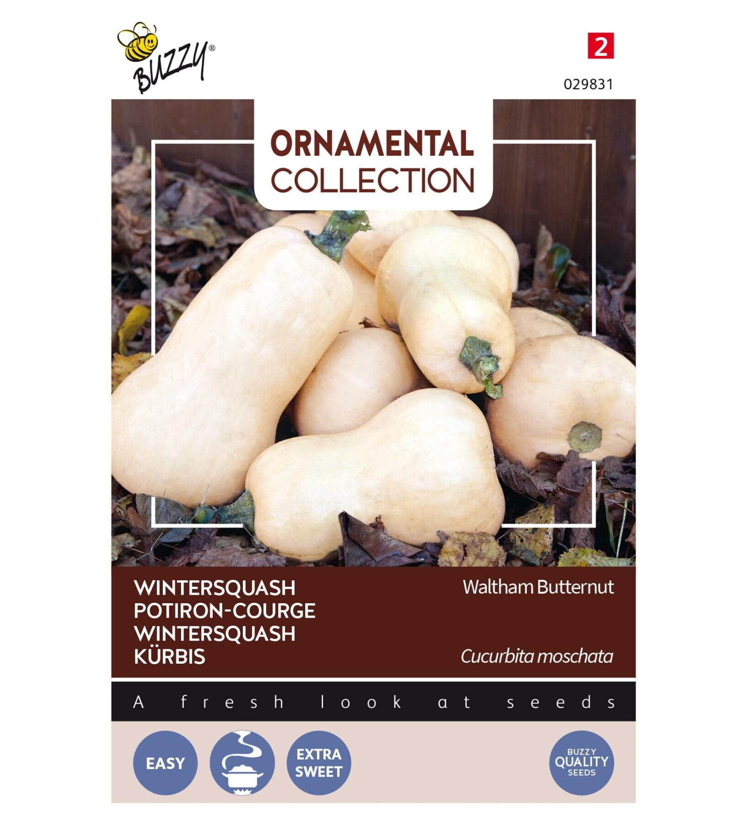 Buzzy Ornamental Wintersquash Waltham Butternut - Content: Approx. 1.5 Grams