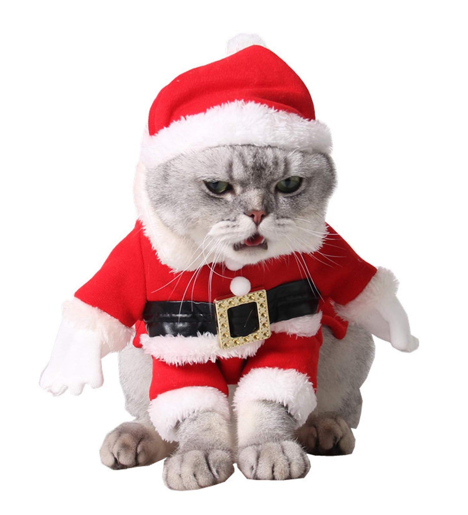 Buy Legendog Cute Cat Santa Claus Dog Clothes | Christmas Hat Pet Apparel - International Shipping - Buy Online on GoSupps.com